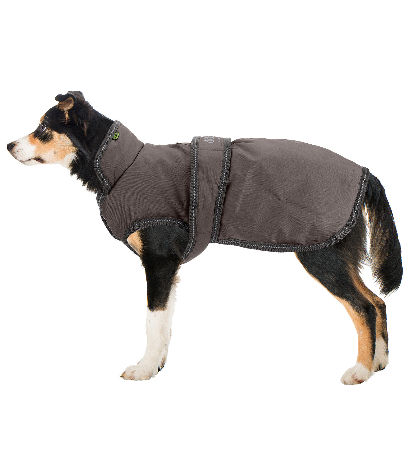 Hunde Wintermantel Eddie mit Fleeceinnenfutter, 200 g