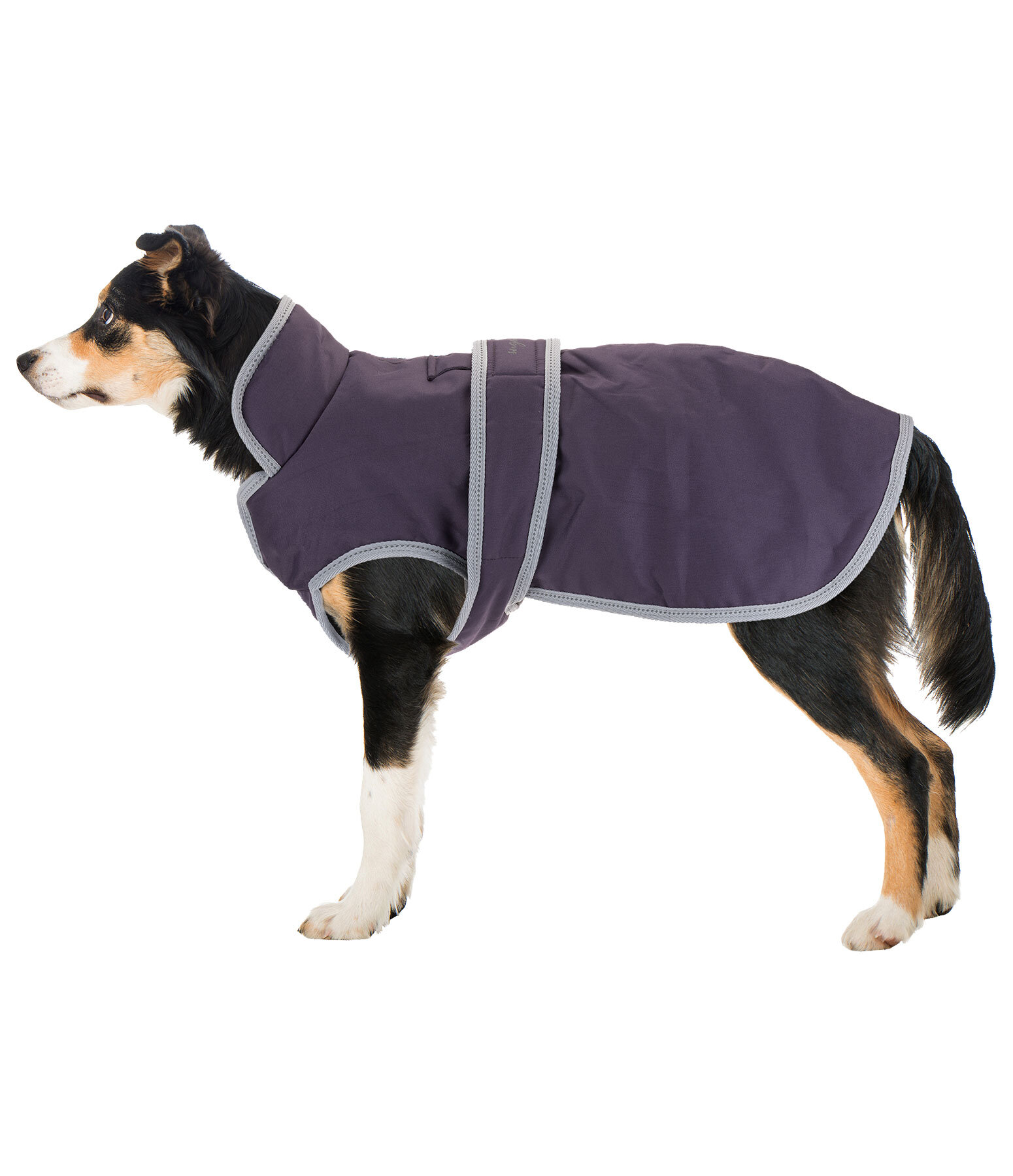 Hunde Wintermantel Eddie mit Fleeceinnenfutter, 200 g