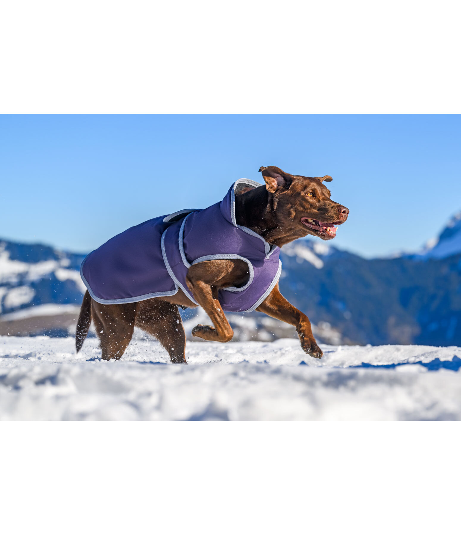 Hunde Wintermantel Eddie mit Fleeceinnenfutter, 200 g