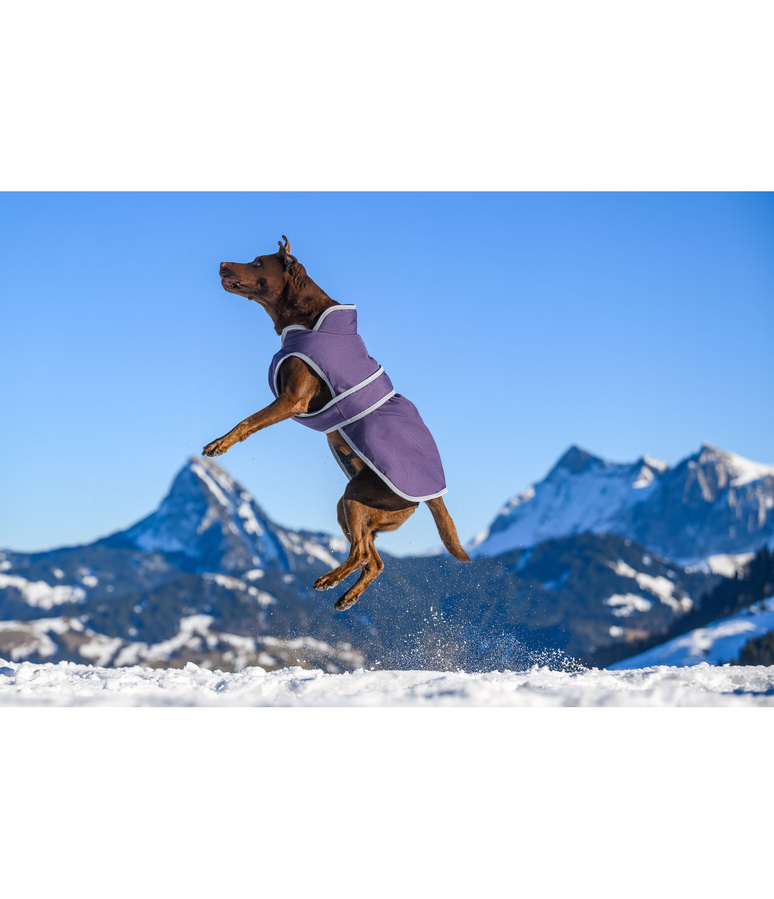 Hunde Wintermantel Eddie mit Fleeceinnenfutter, 200 g