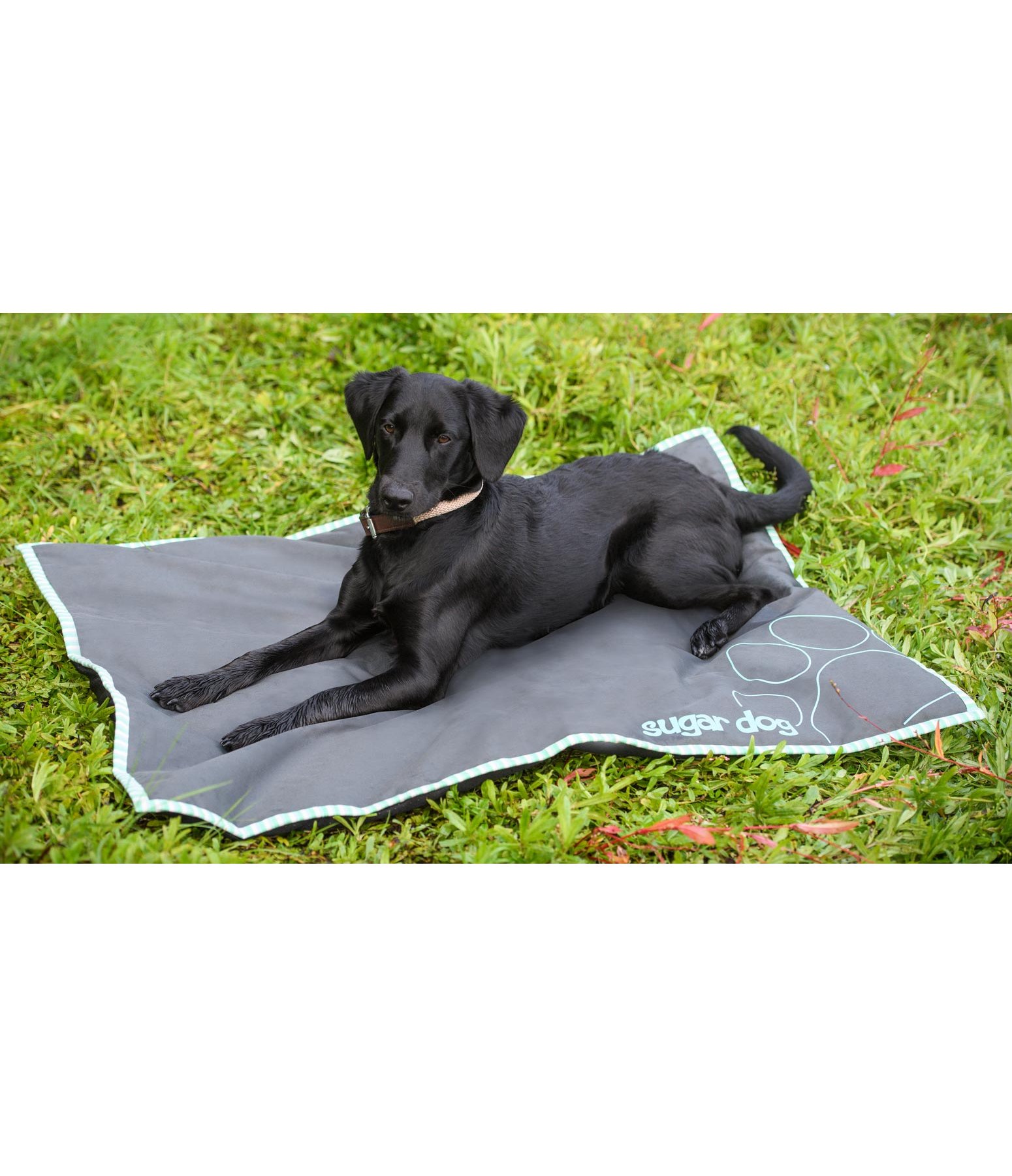 Hunde Outdoor Hunde Outdoor