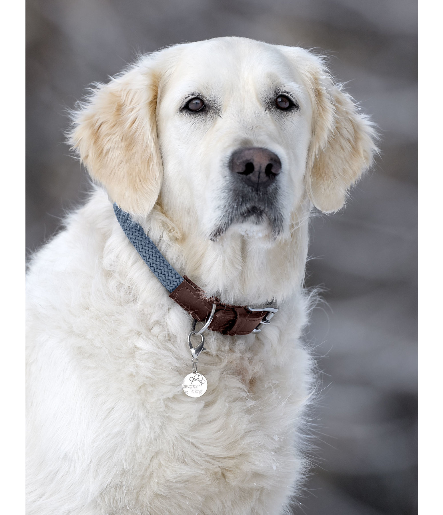 Hundehalsband Rope