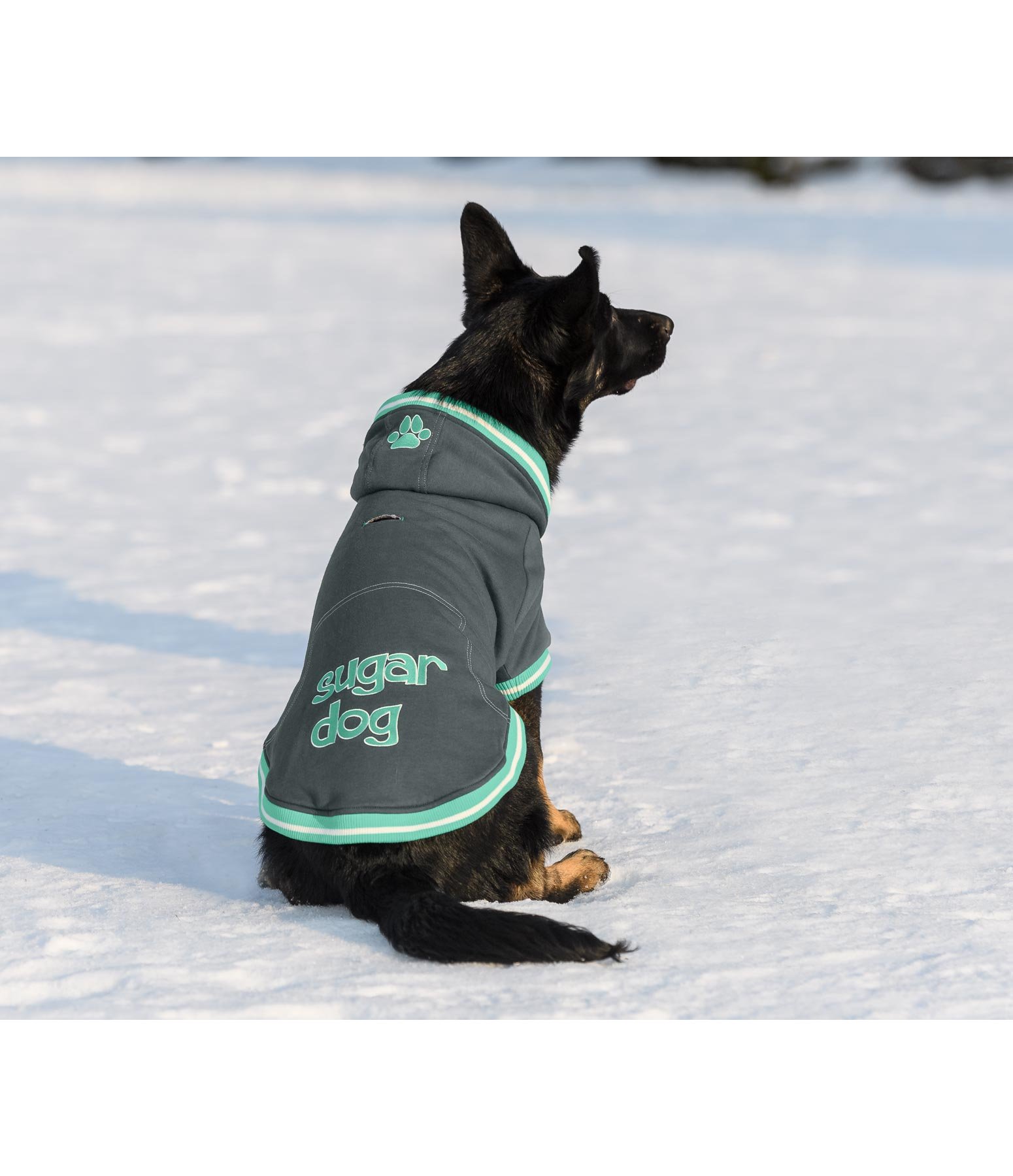 Hundejacke College Hoodie Hundejacken & mäntel Krämer Pferdesport