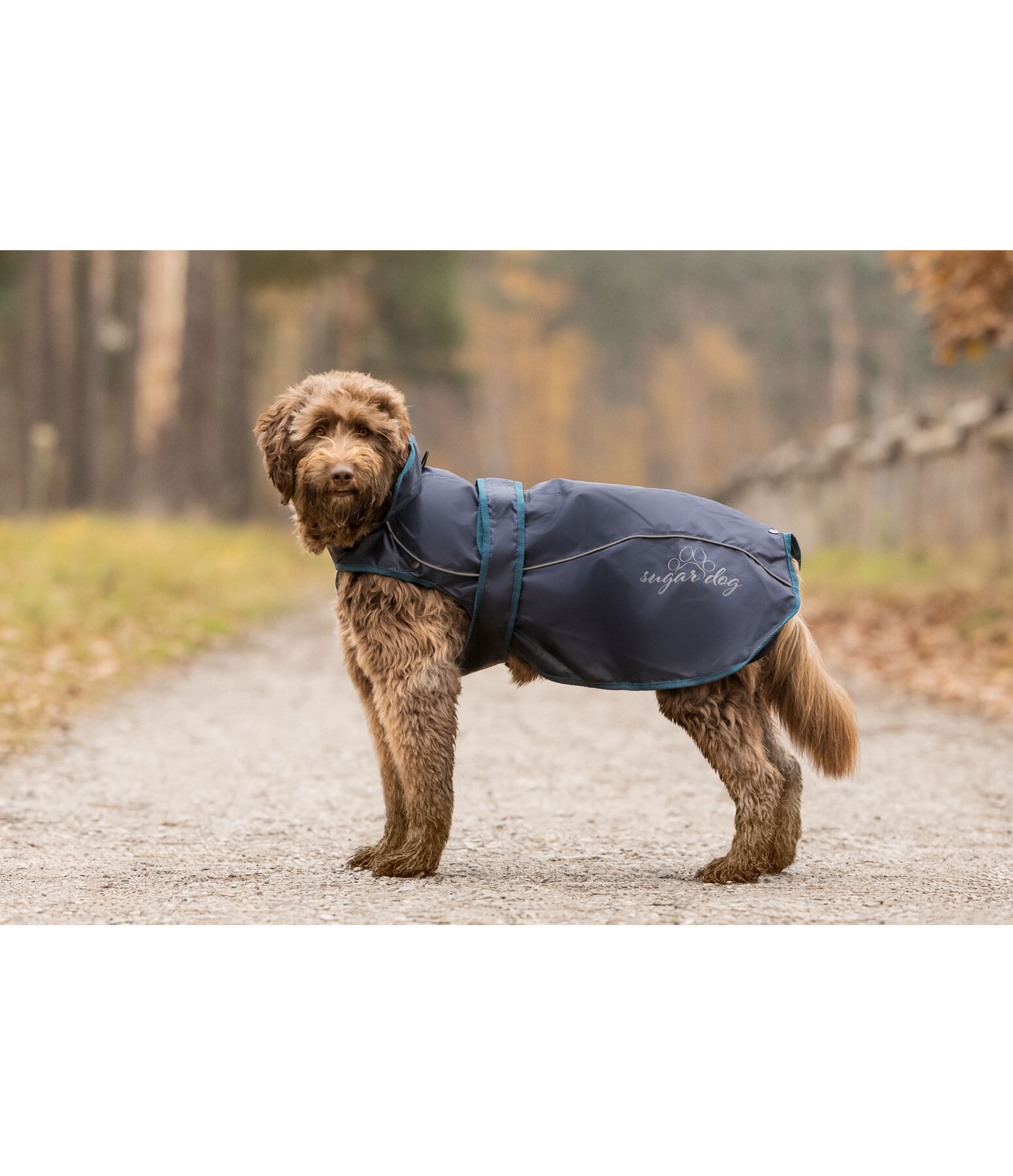 2 in 1 Nylon-Hundemantel Ally