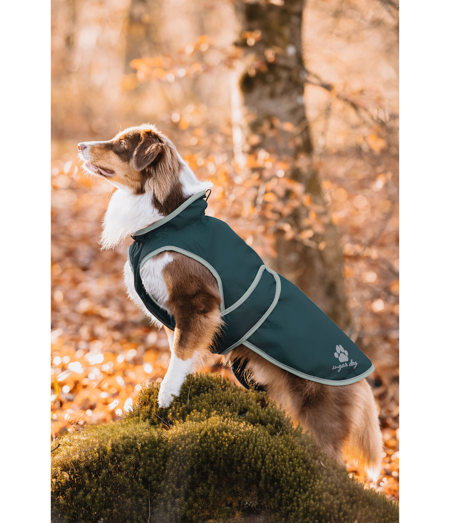 Hunde Regenmantel Eldoro II mit Fleeceinnenfutter, 0 g