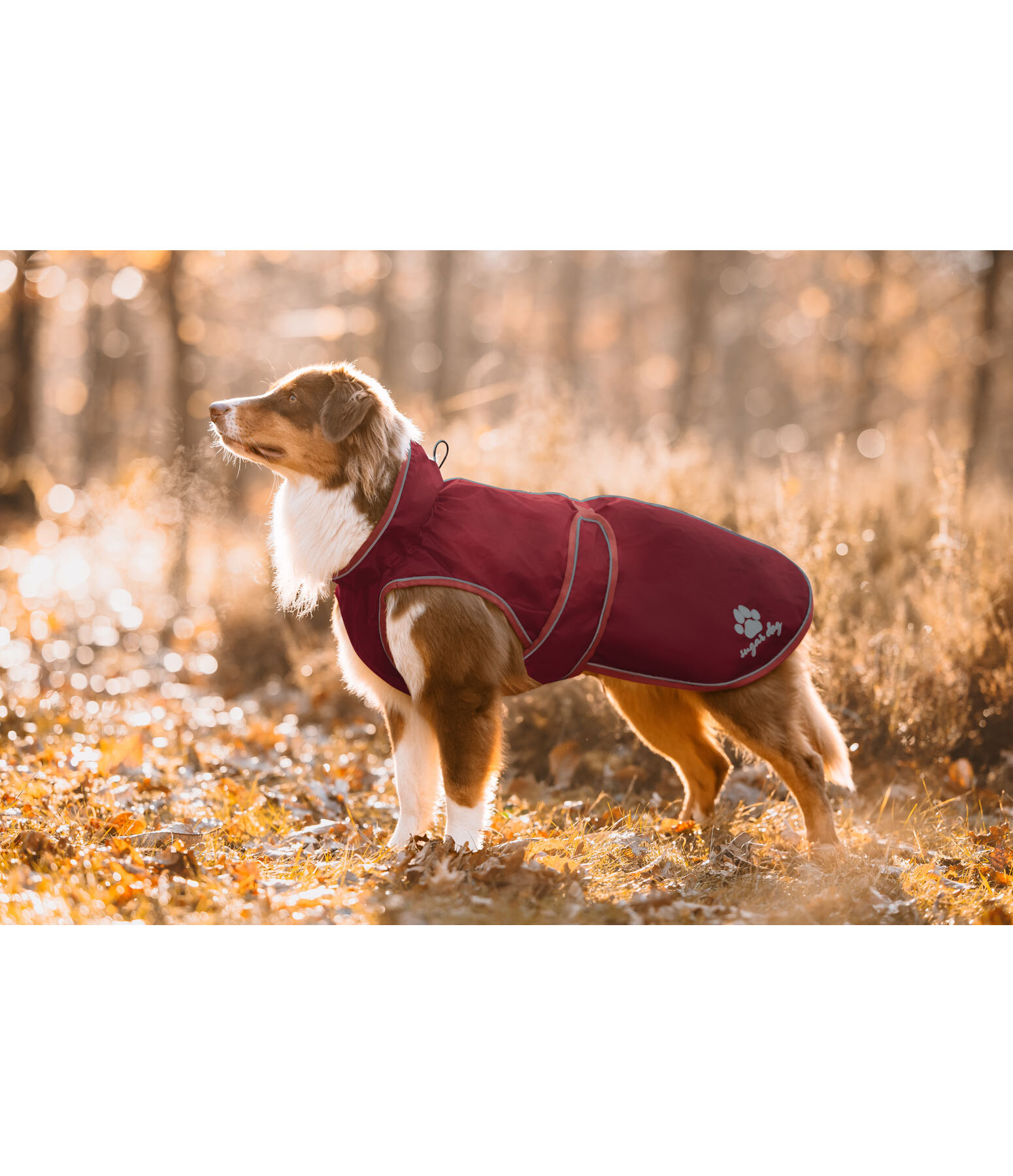 Hunde Regenmantel Eldoro II mit Fleeceinnenfutter, 0 g