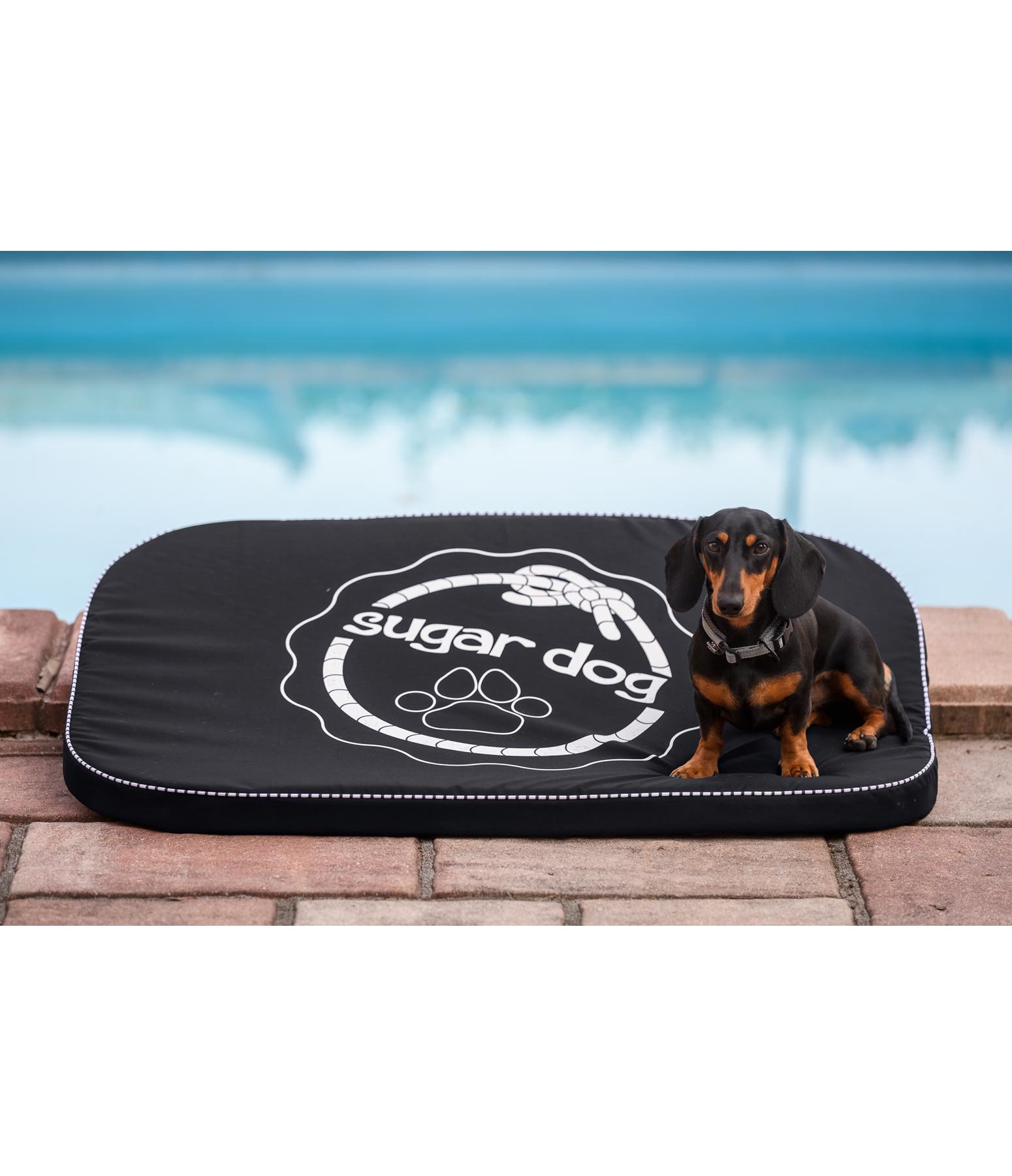 HundeLiegematte Ebbe mit MemorySchaum Krämer Pferdesport Österreich
