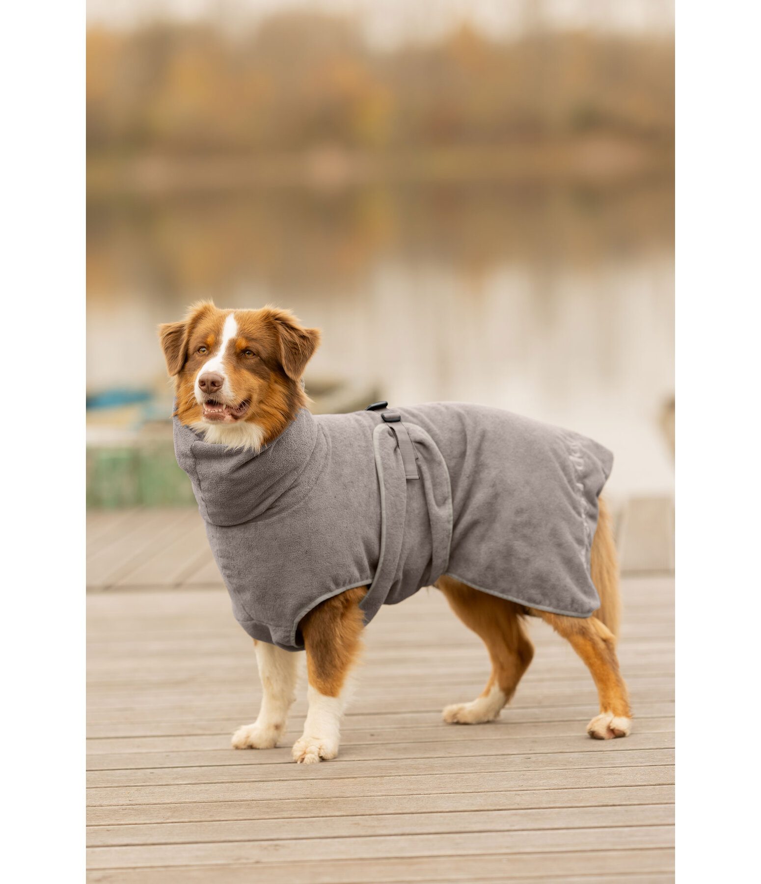 Hunde-Trocknungscape Dry Dog II