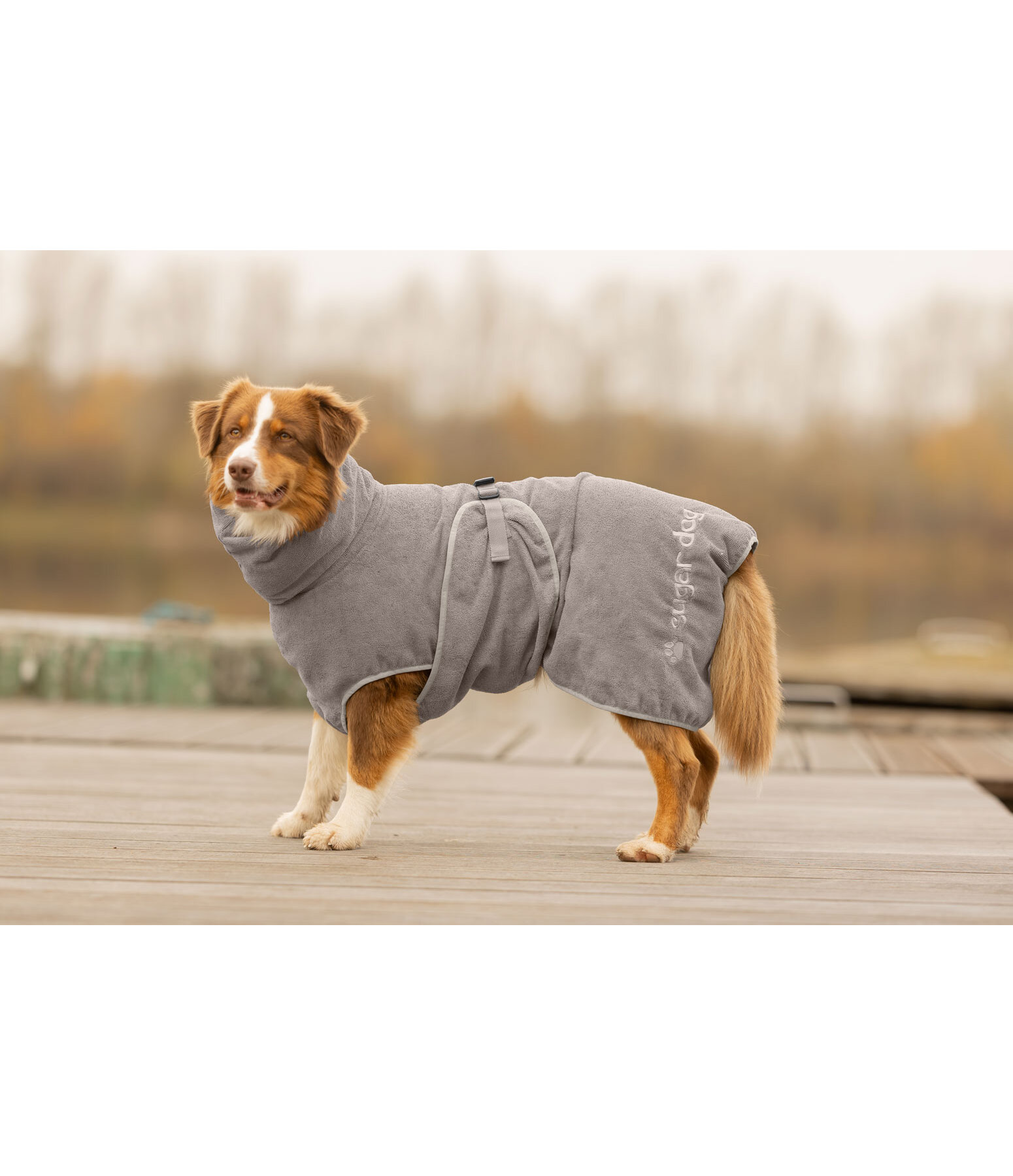 Hunde-Trocknungscape Dry Dog II