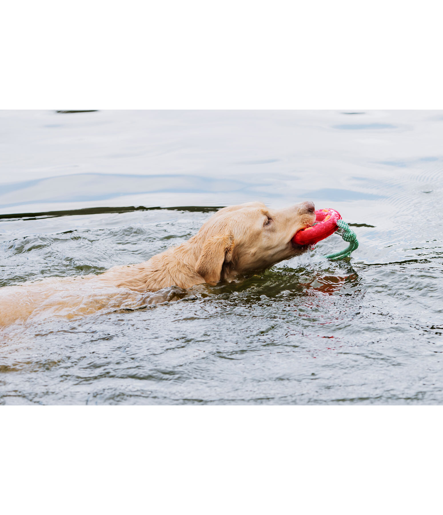 Hundespielzeug Mia
