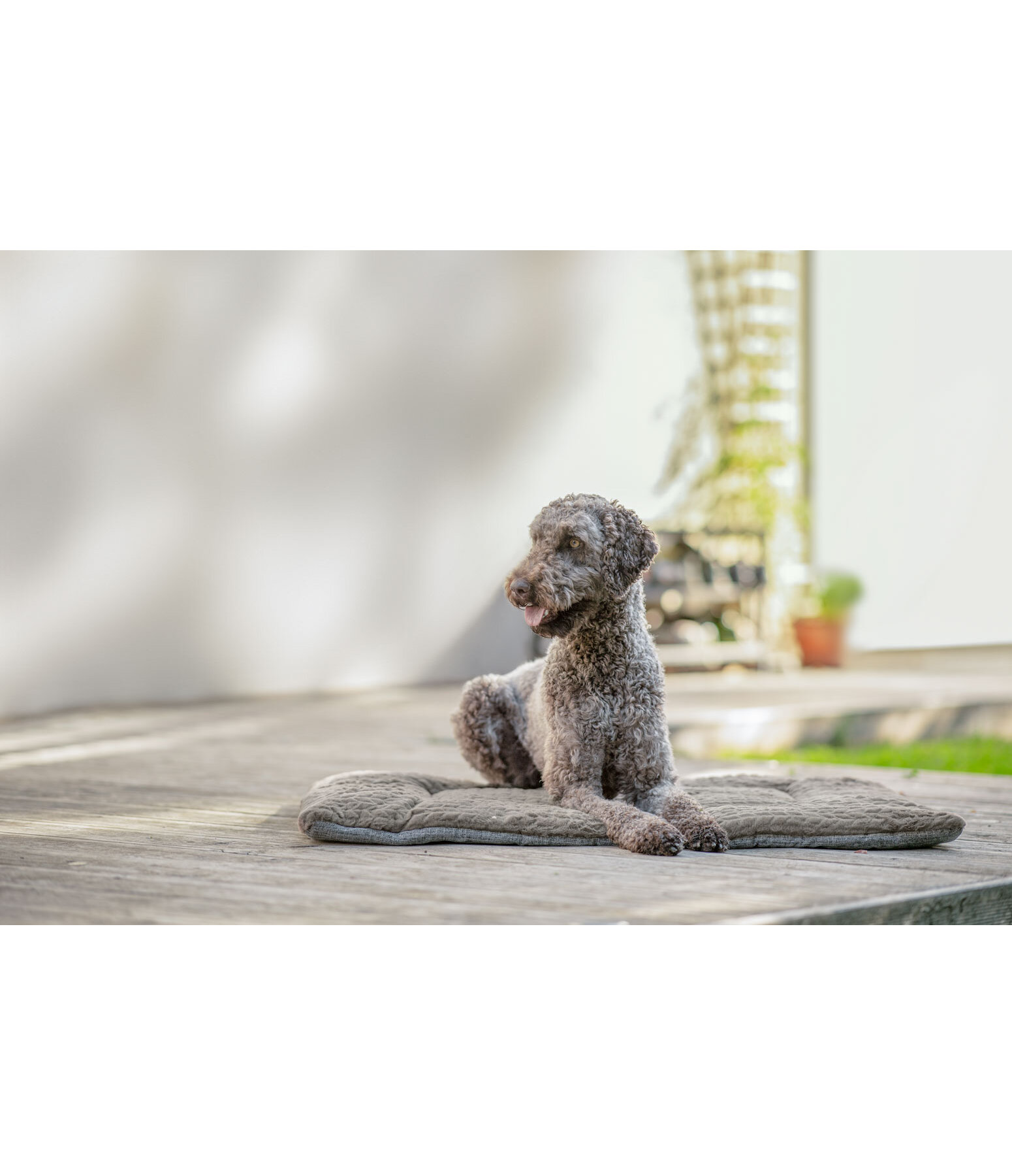 Hunde-Liegedecke Let Me Sleep