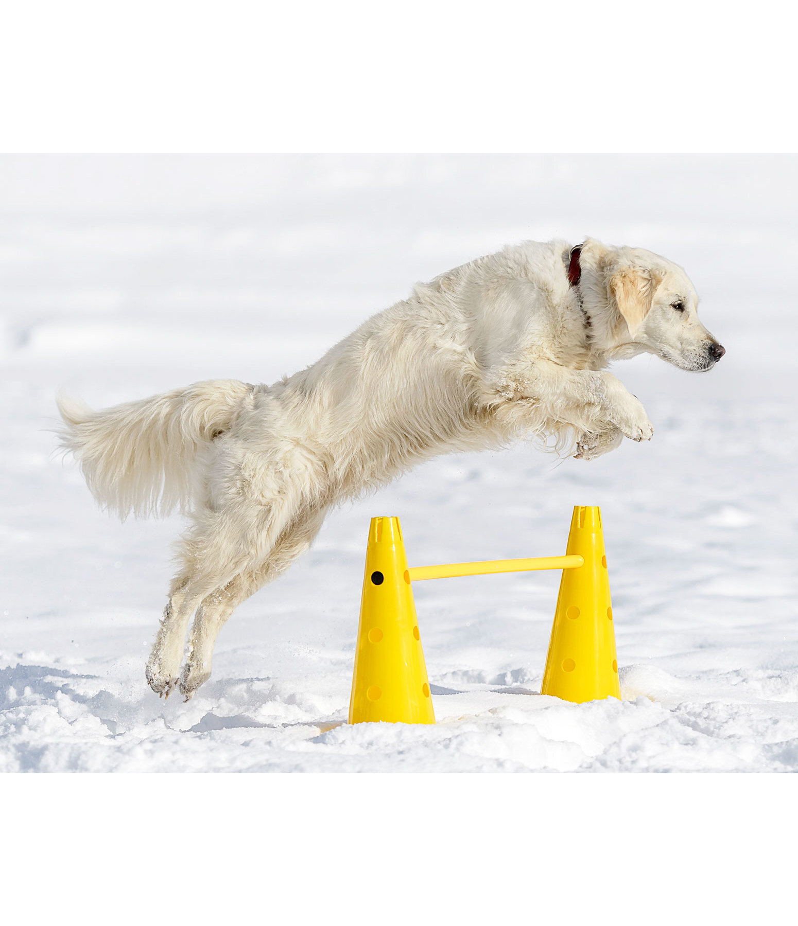 Agility Pylonen