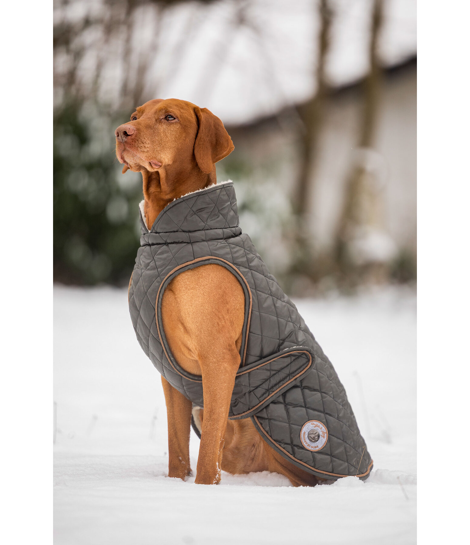 Hundemantel Archie mit Teddyfleece-Innenfutter, 160 g