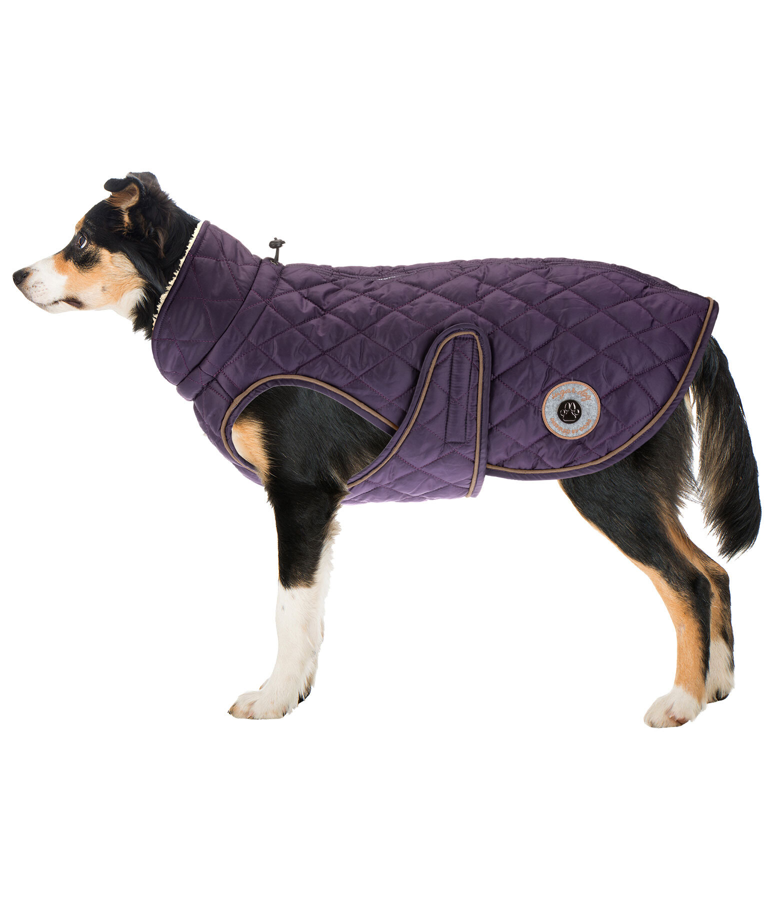 Hundemantel Archie mit Teddyfleece-Innenfutter, 160 g
