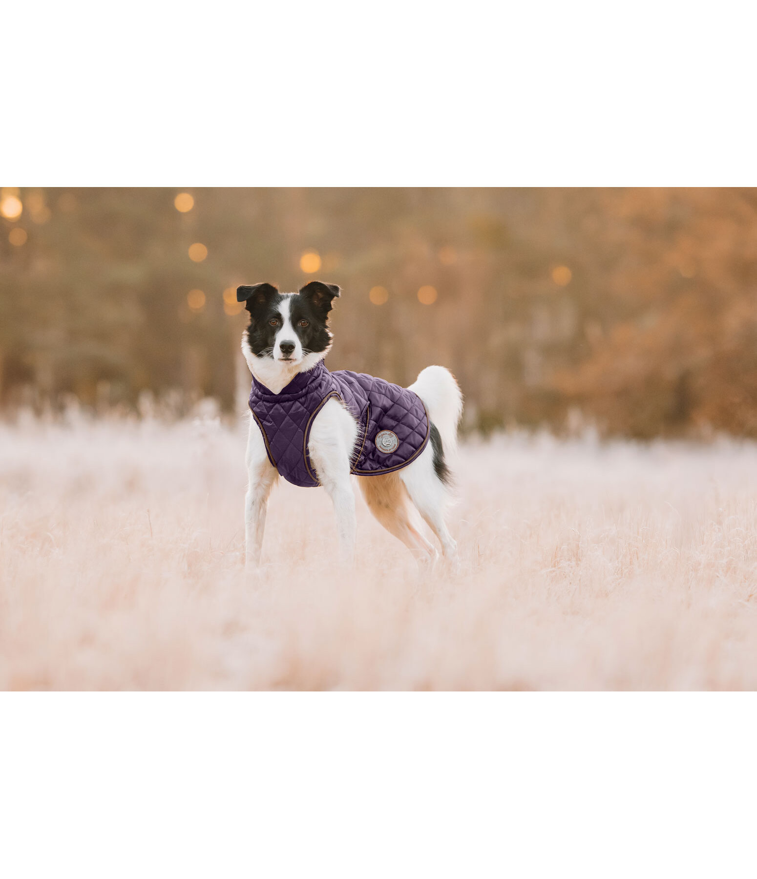 Hundemantel Archie mit Teddyfleece-Innenfutter, 160 g