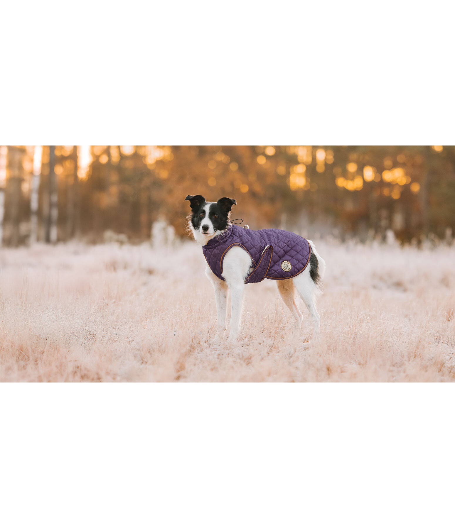 Hundemantel Archie mit Teddyfleece-Innenfutter, 160 g