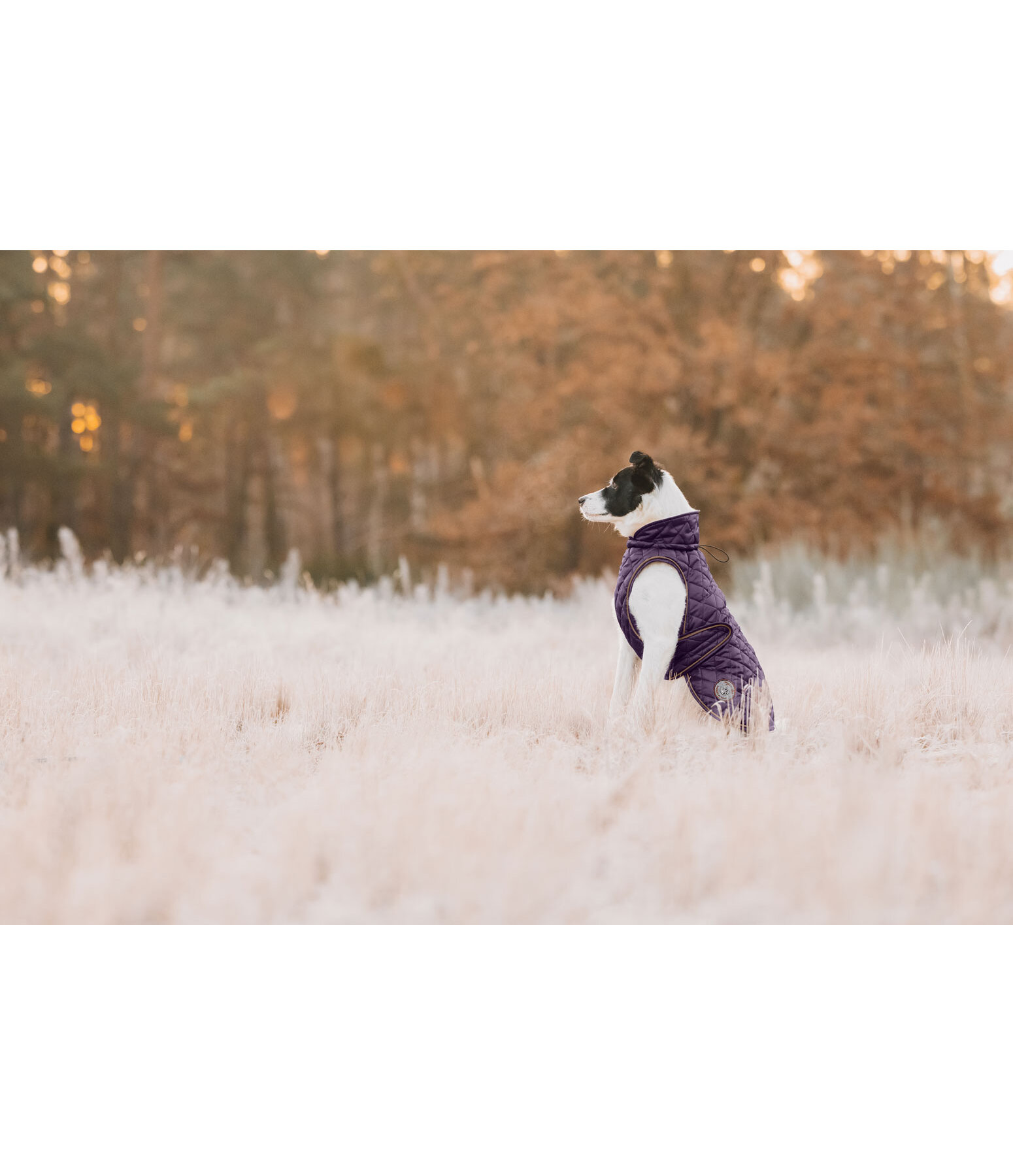 Hundemantel Archie mit Teddyfleece-Innenfutter, 160 g