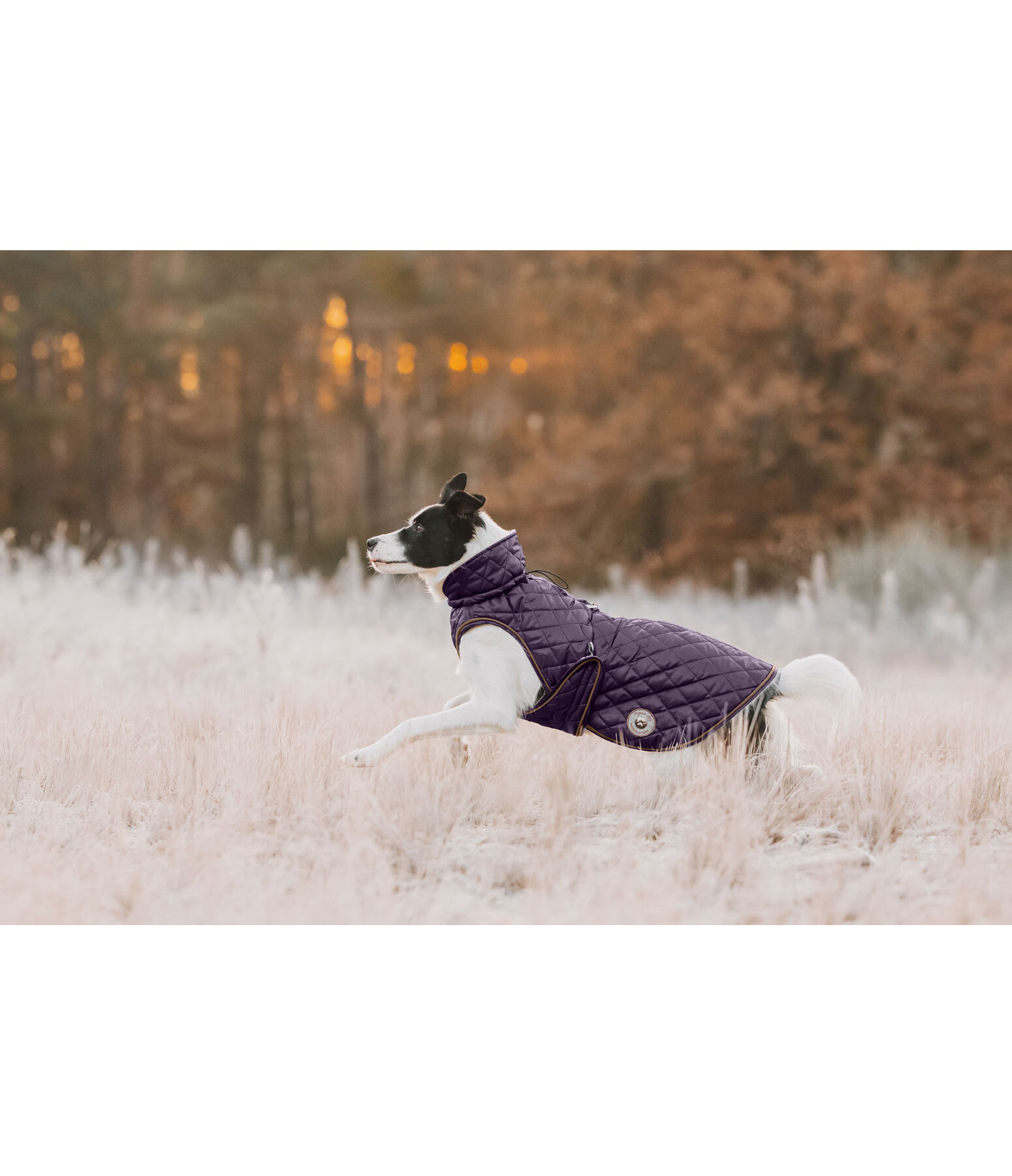 Hundemantel Archie mit Teddyfleece-Innenfutter, 160 g
