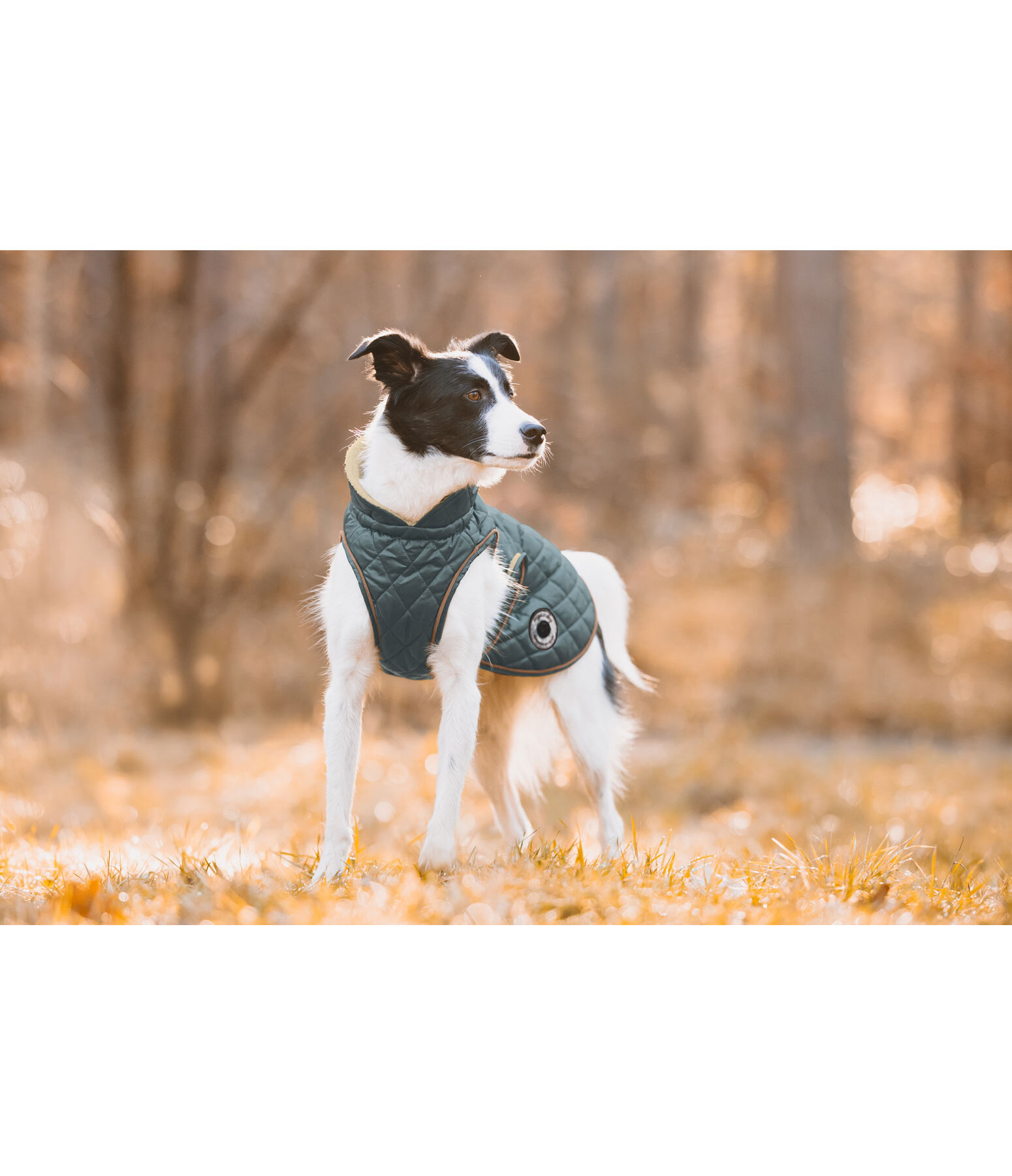 Hundemantel Archie mit Teddyfleece-Innenfutter, 160 g