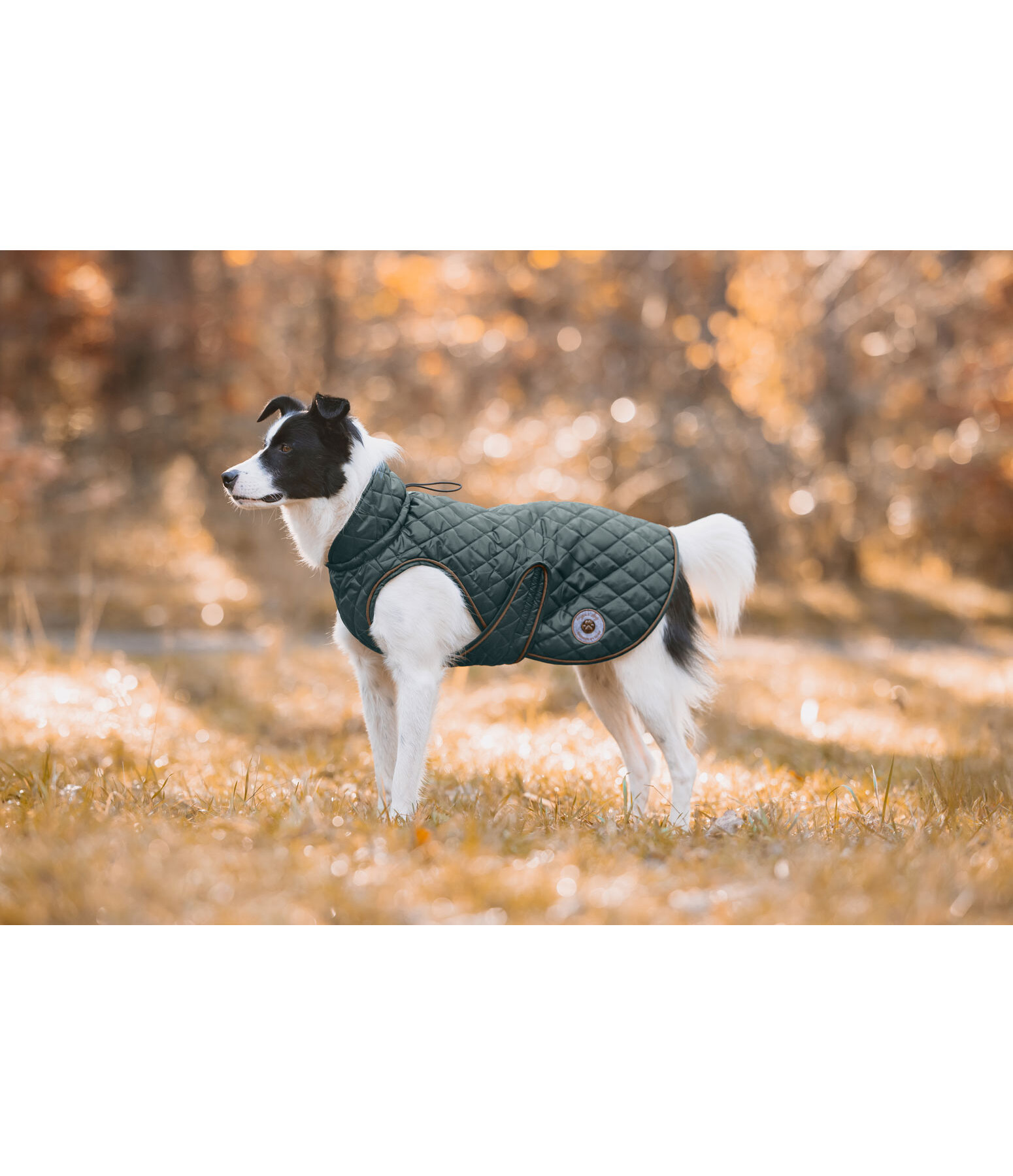 Hundemantel Archie mit Teddyfleece-Innenfutter, 160 g