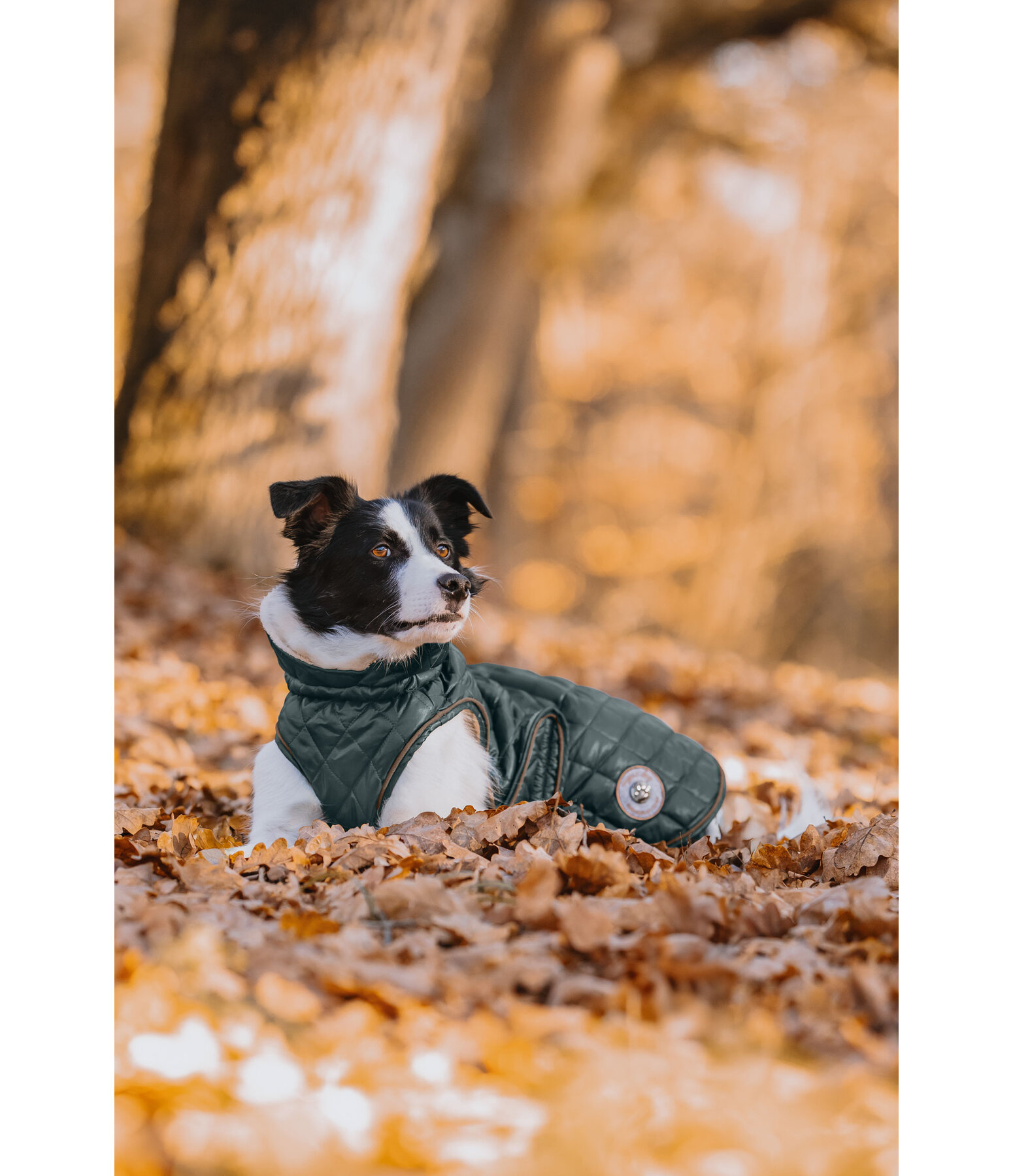 Hundemantel Archie mit Teddyfleece-Innenfutter, 160 g