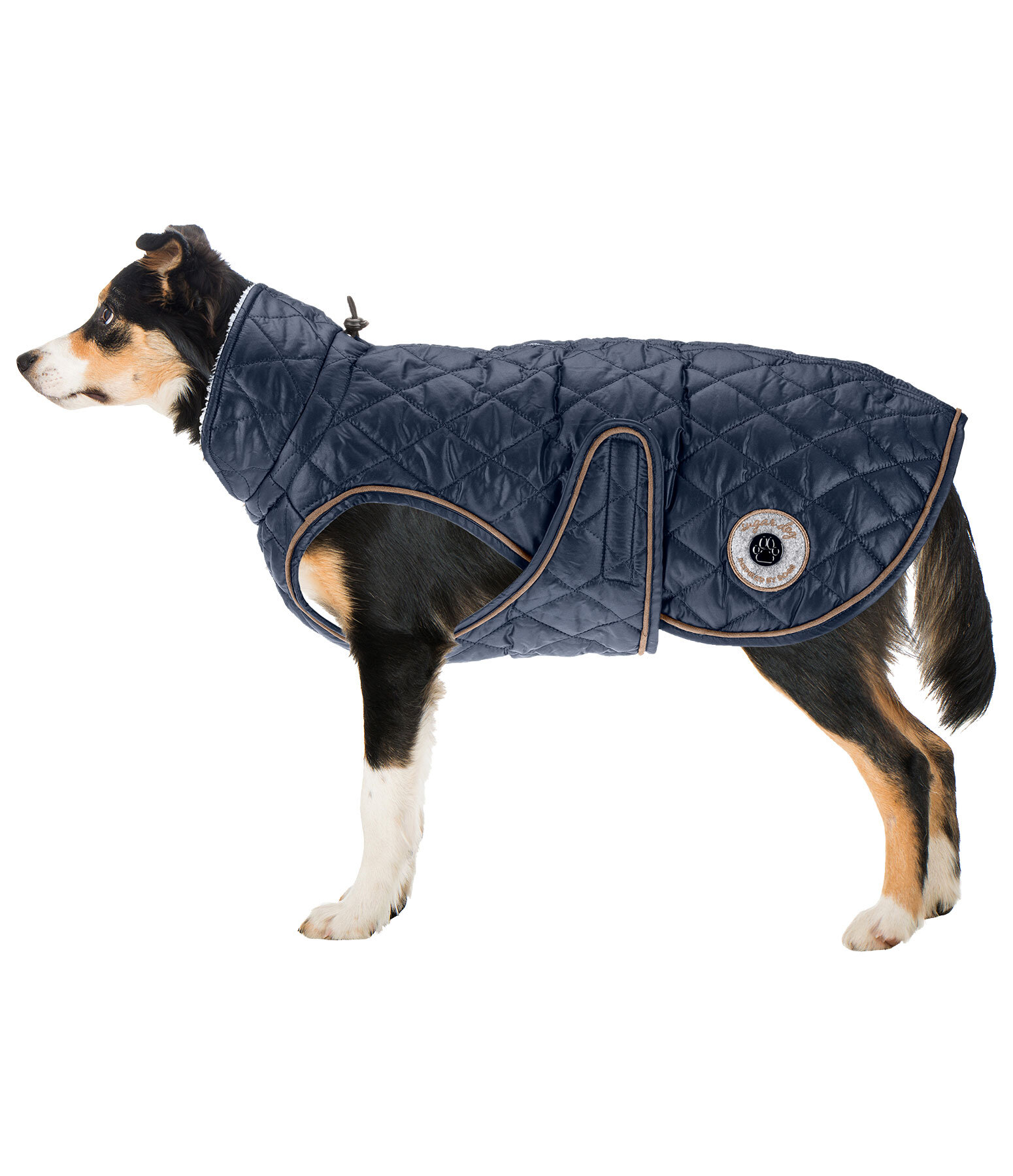 Hundemantel Archie mit Teddyfleece-Innenfutter, 160 g