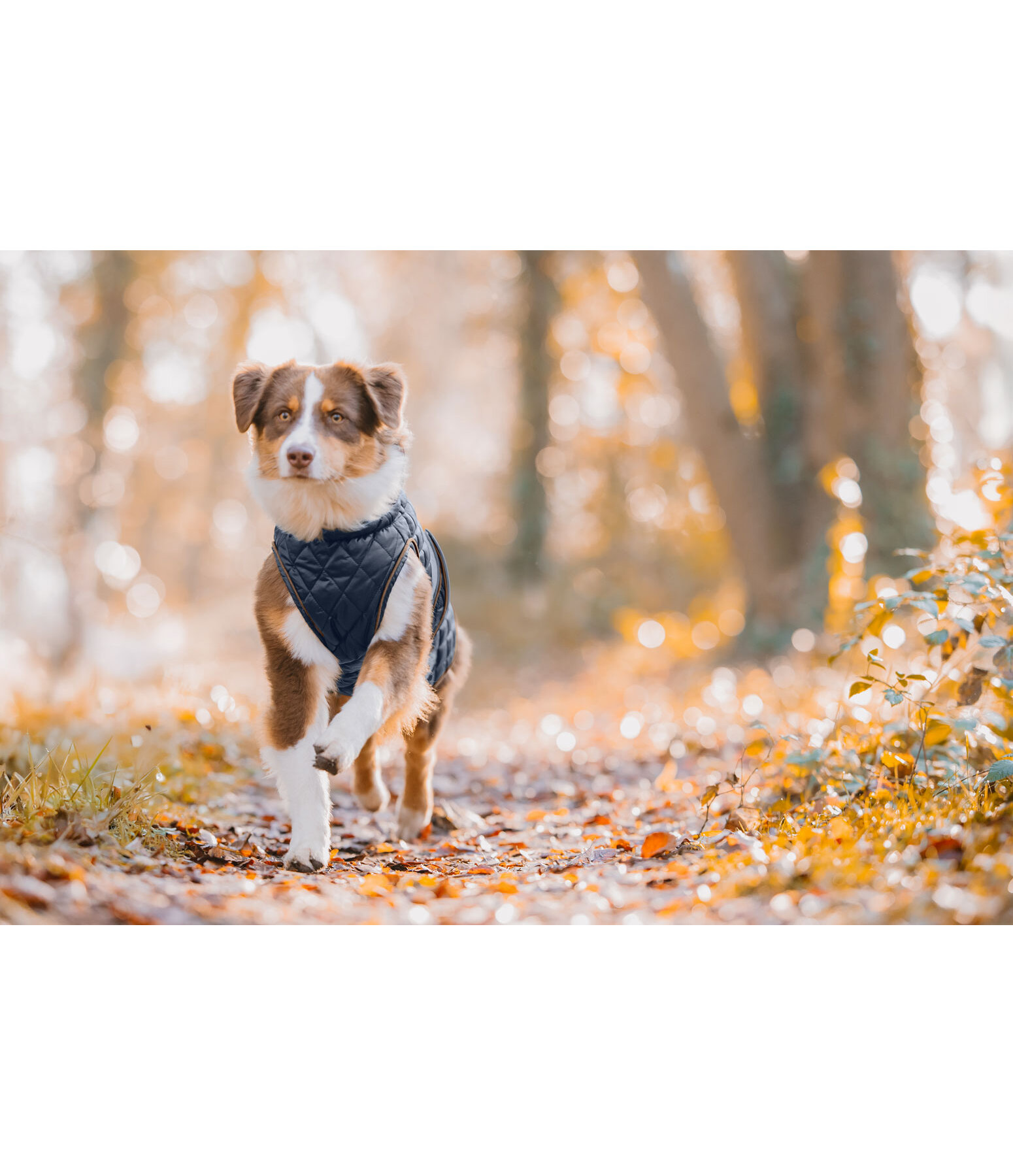 Hundemantel Archie mit Teddyfleece-Innenfutter, 160 g