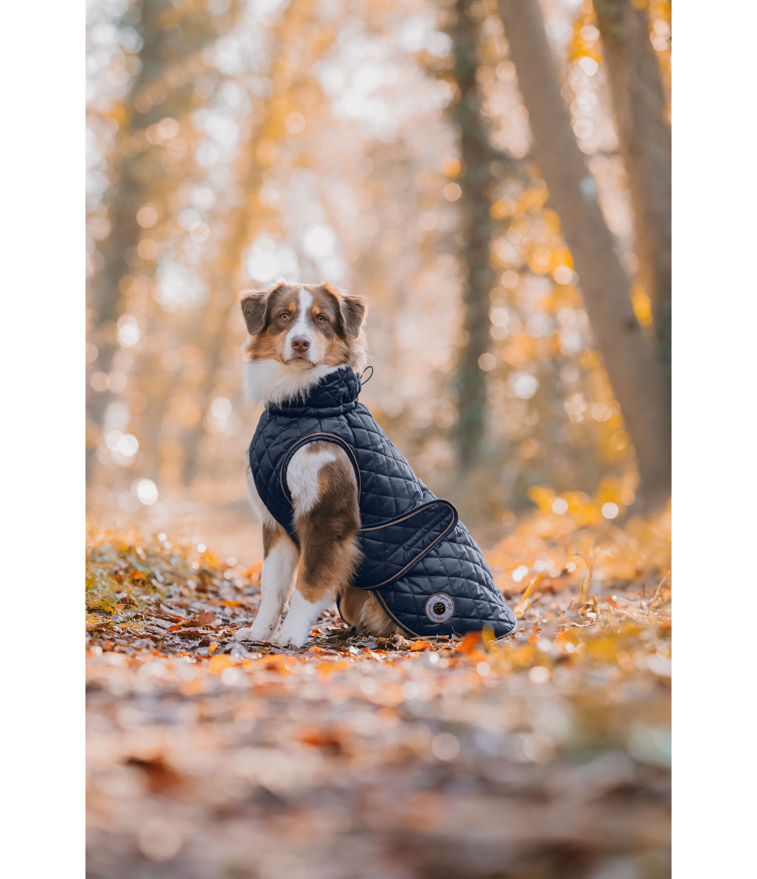 Hundemantel Archie mit Teddyfleece-Innenfutter, 160 g