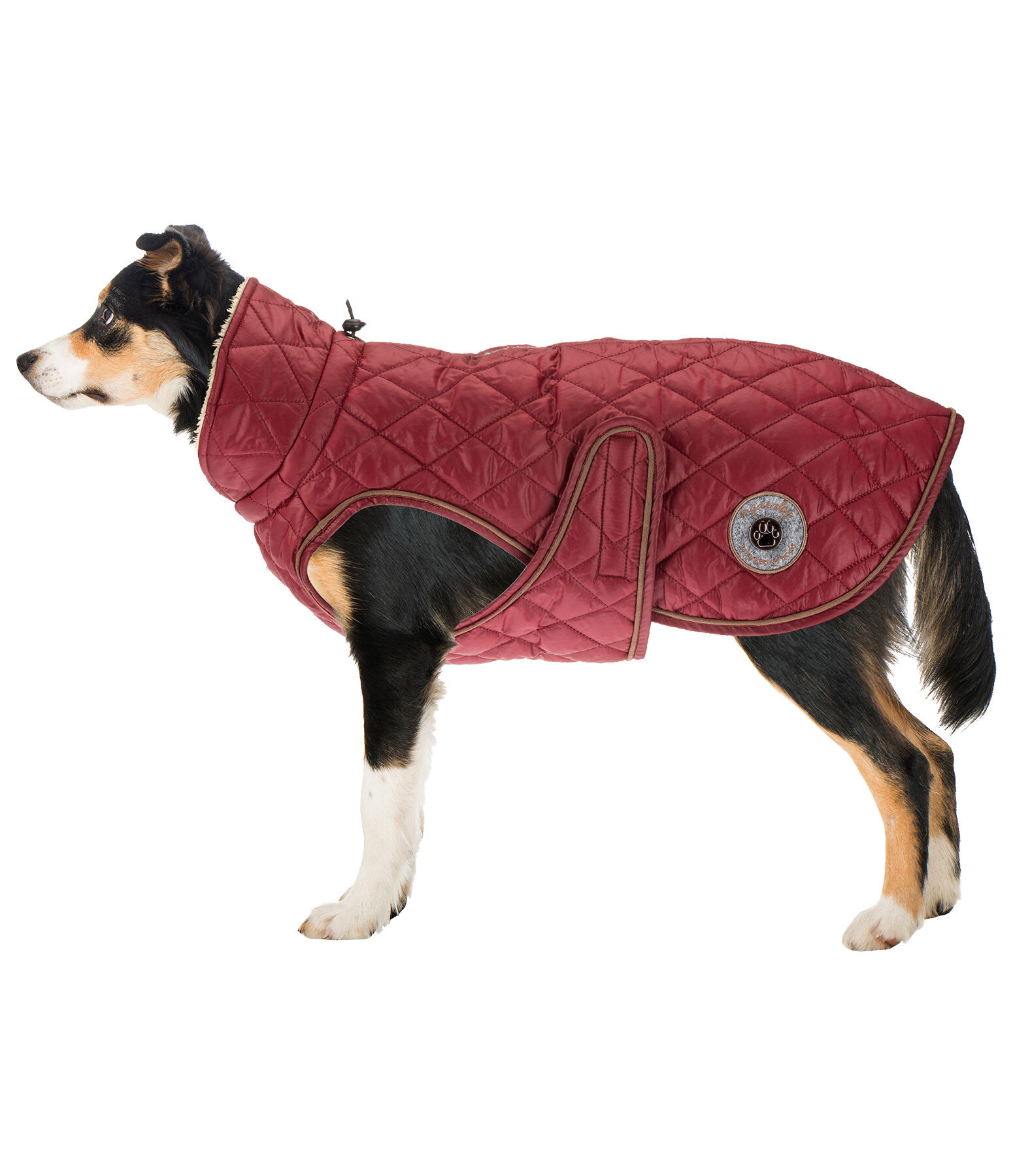 Hundemantel Archie mit Teddyfleece-Innenfutter, 160 g