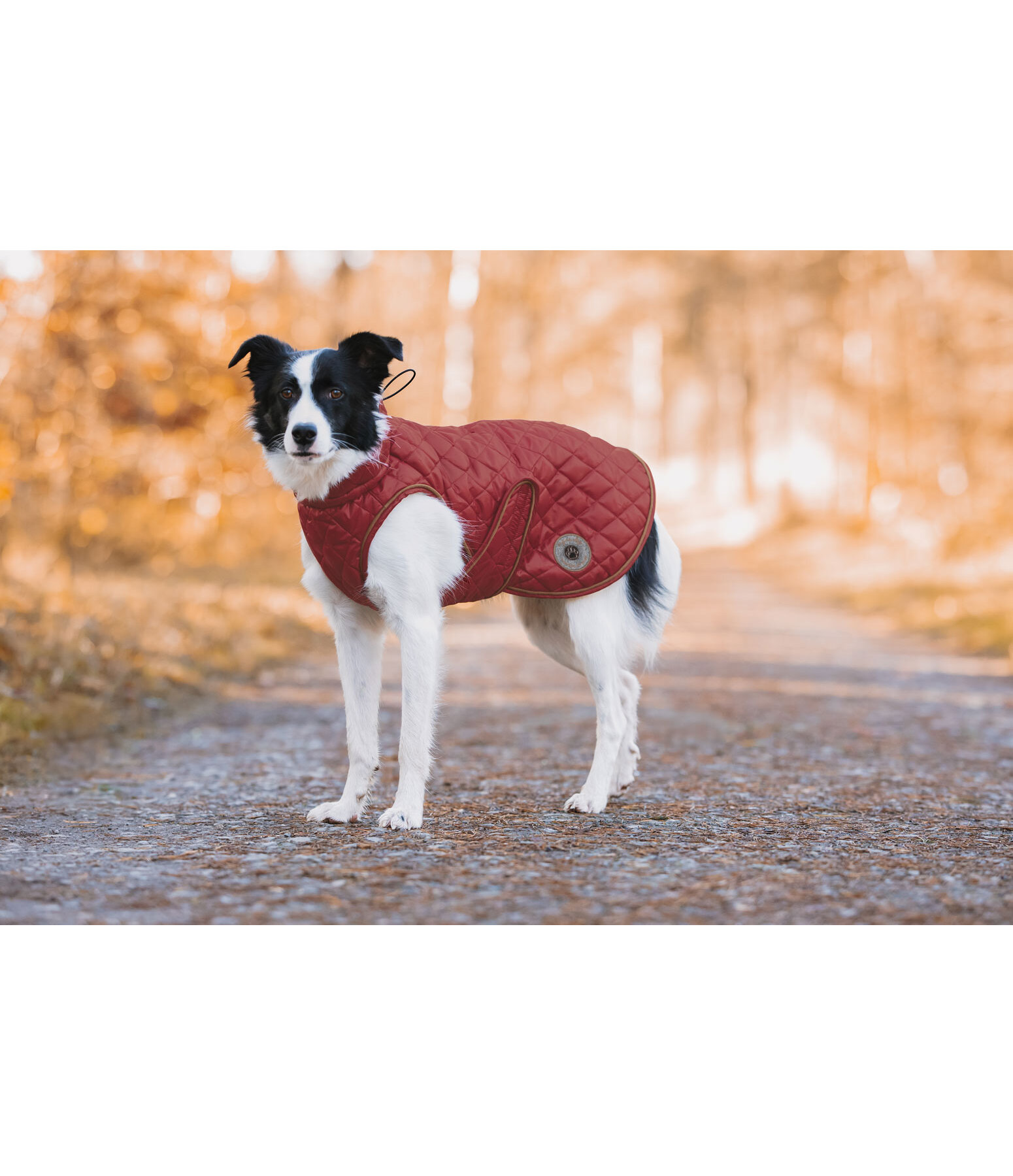 Hundemantel Archie mit Teddyfleece-Innenfutter, 160 g