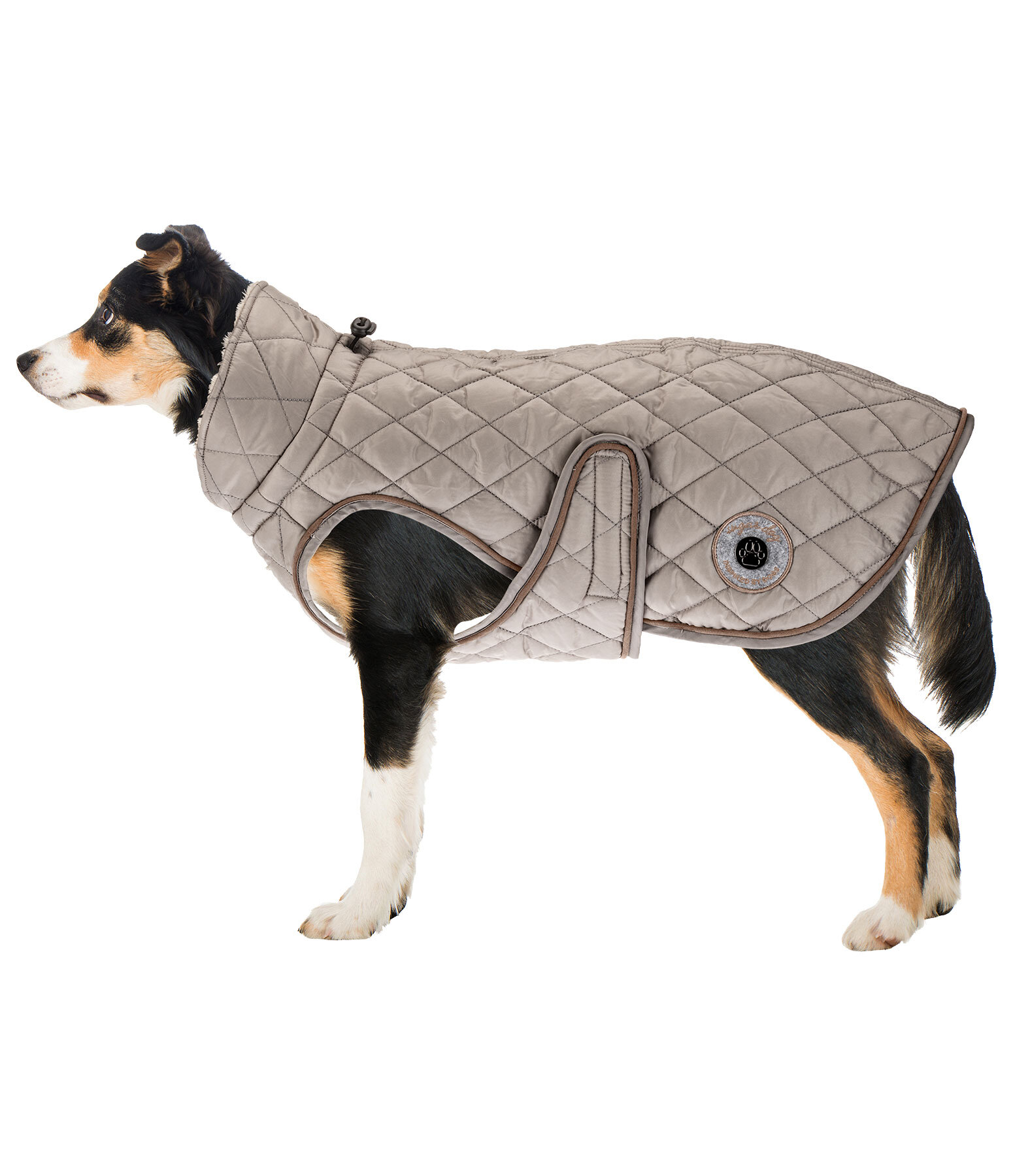 Hundemantel Archie mit Teddyfleece-Innenfutter, 160 g