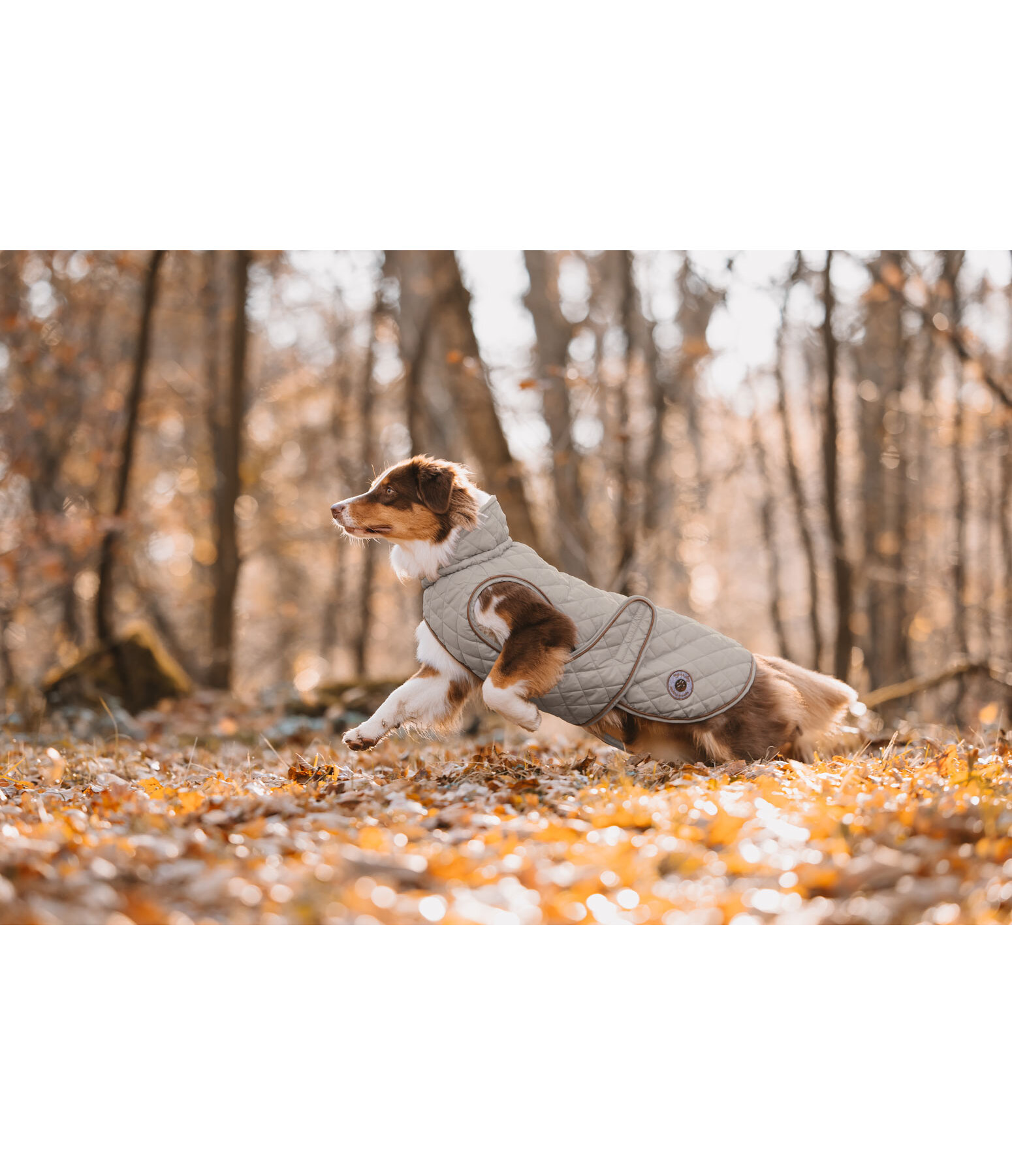 Hundemantel Archie mit Teddyfleece-Innenfutter, 160 g