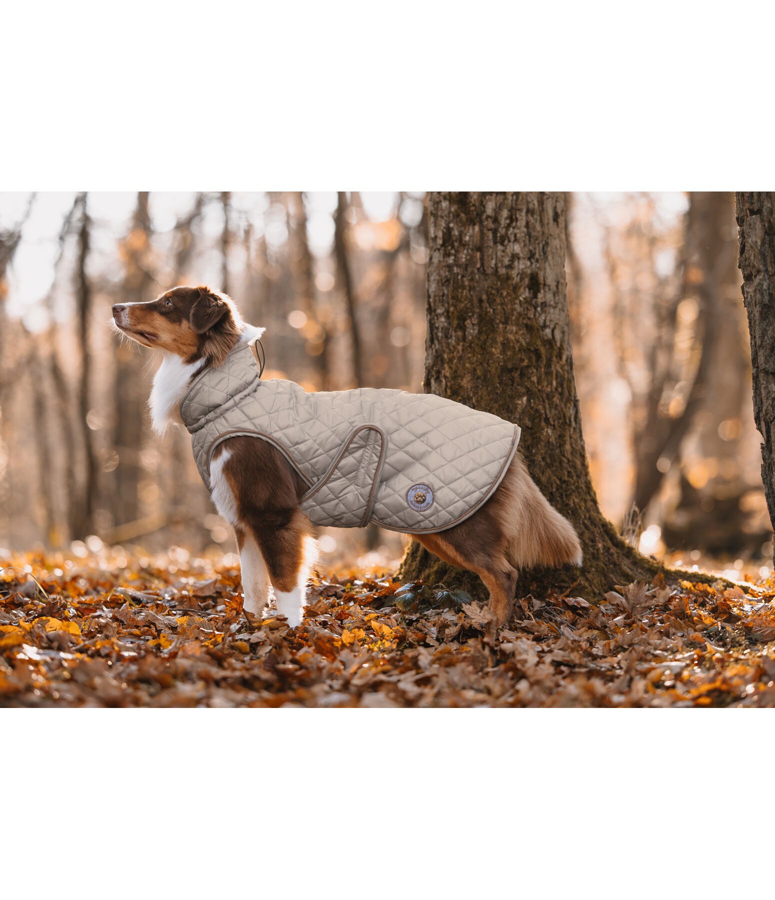 Hundemantel Archie mit Teddyfleece-Innenfutter, 160 g