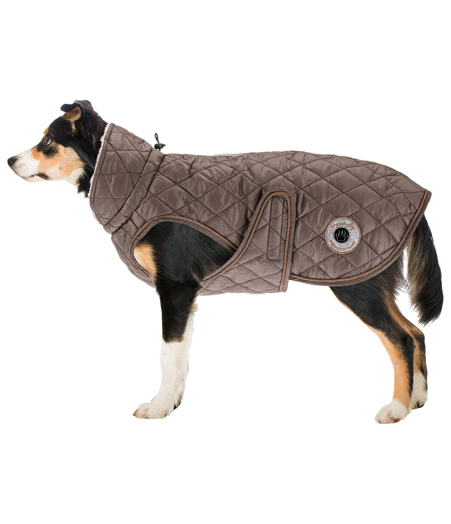 Hundemantel Archie mit Teddyfleece-Innenfutter, 160 g