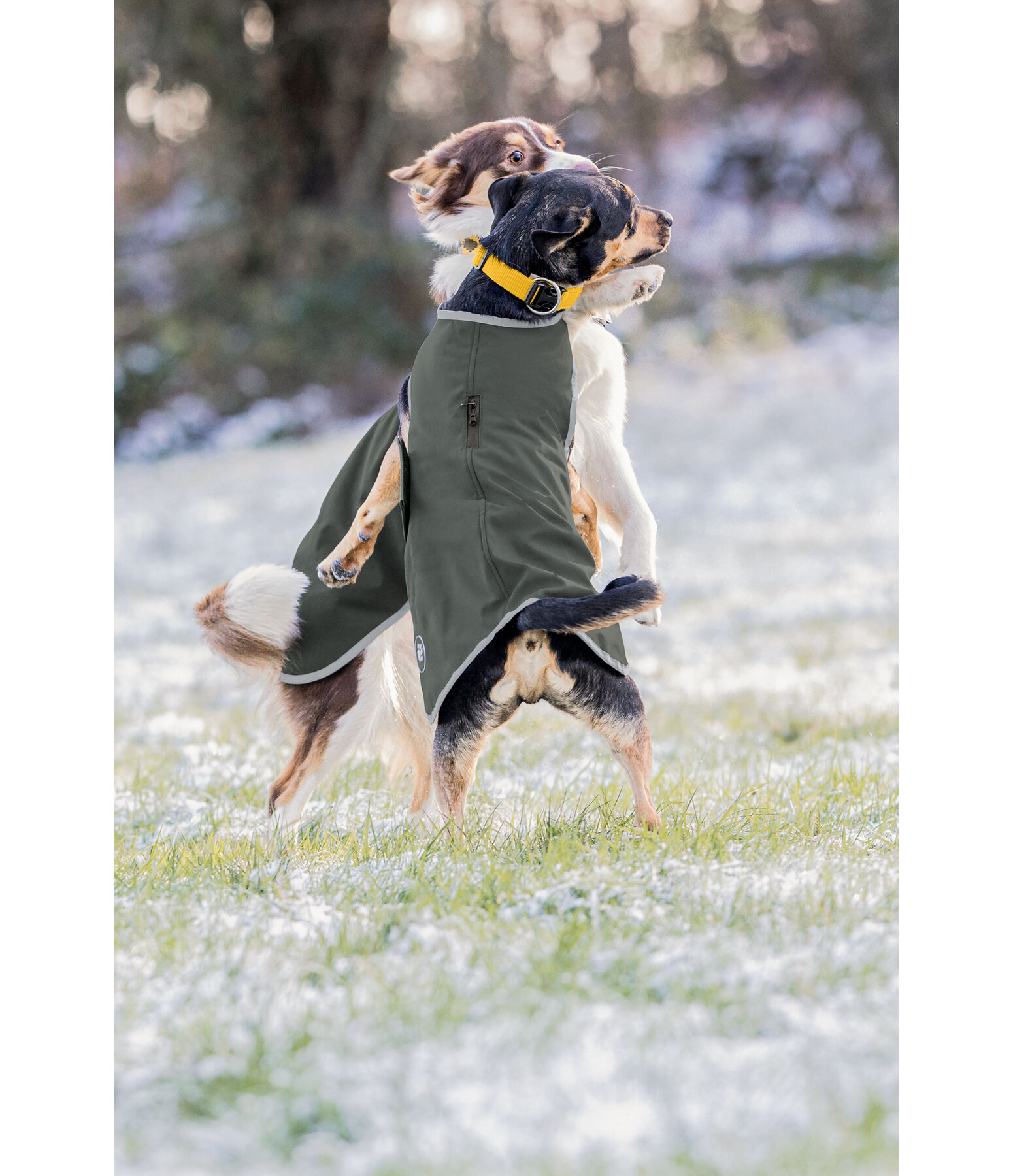 Softshell-Hundewalker Athlete, 0 g