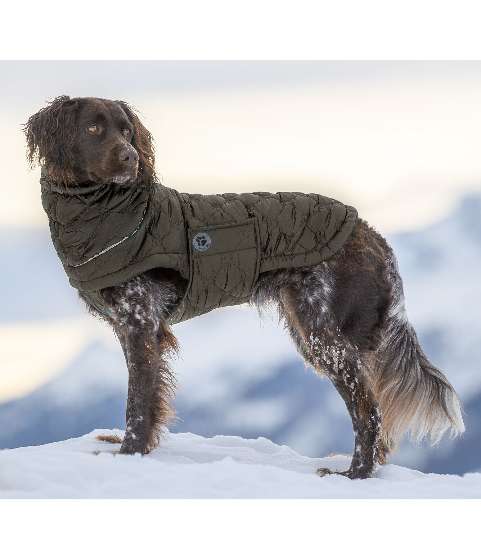 Lightweight Hunde-Steppjacke Cliff mit Fleecelining, 200 g