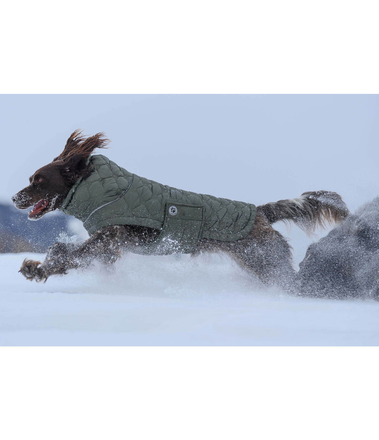 Lightweight Hunde-Steppjacke Cliff mit Fleecelining, 200 g