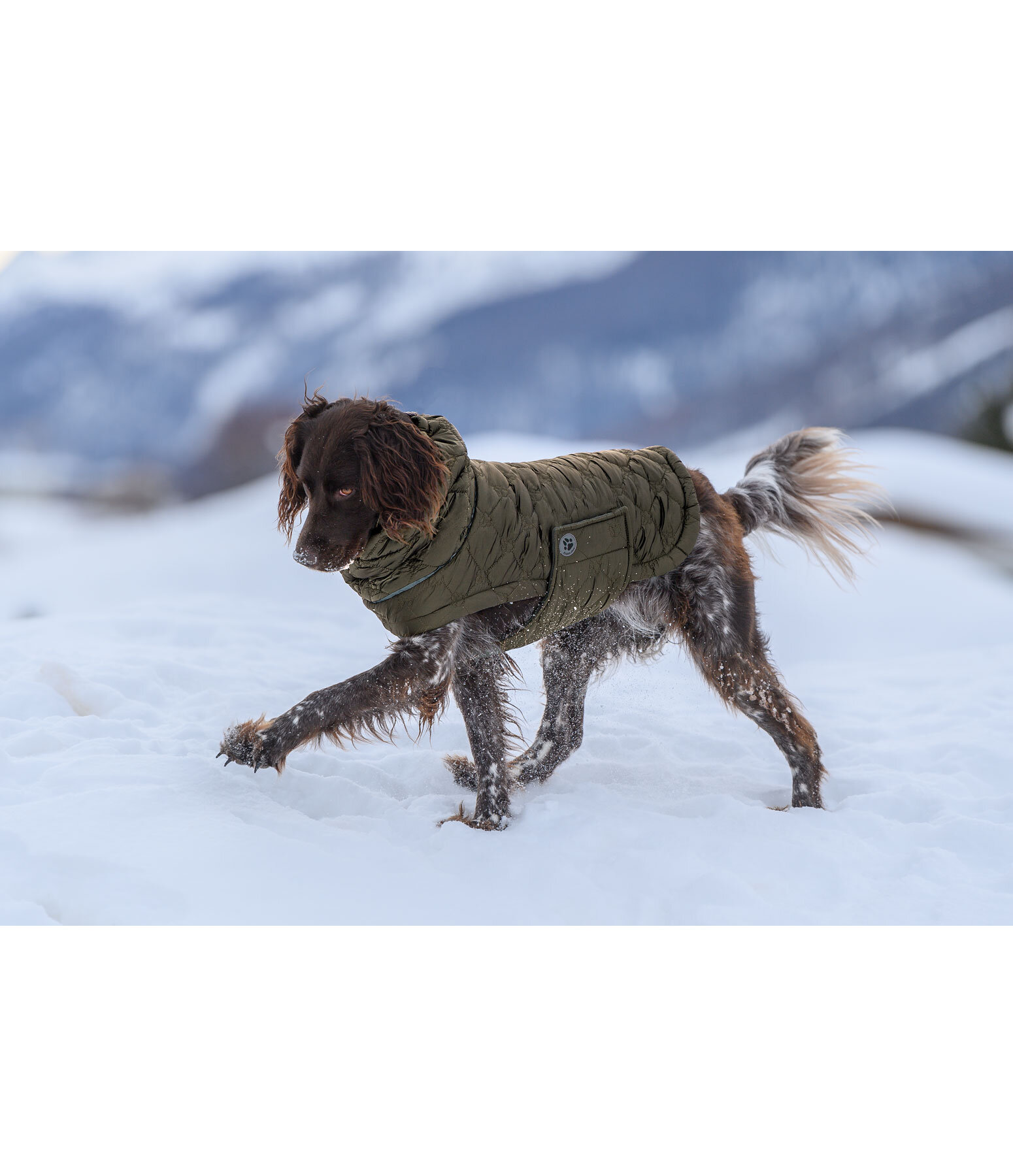 Lightweight Hunde-Steppjacke Cliff mit Fleecelining, 200 g