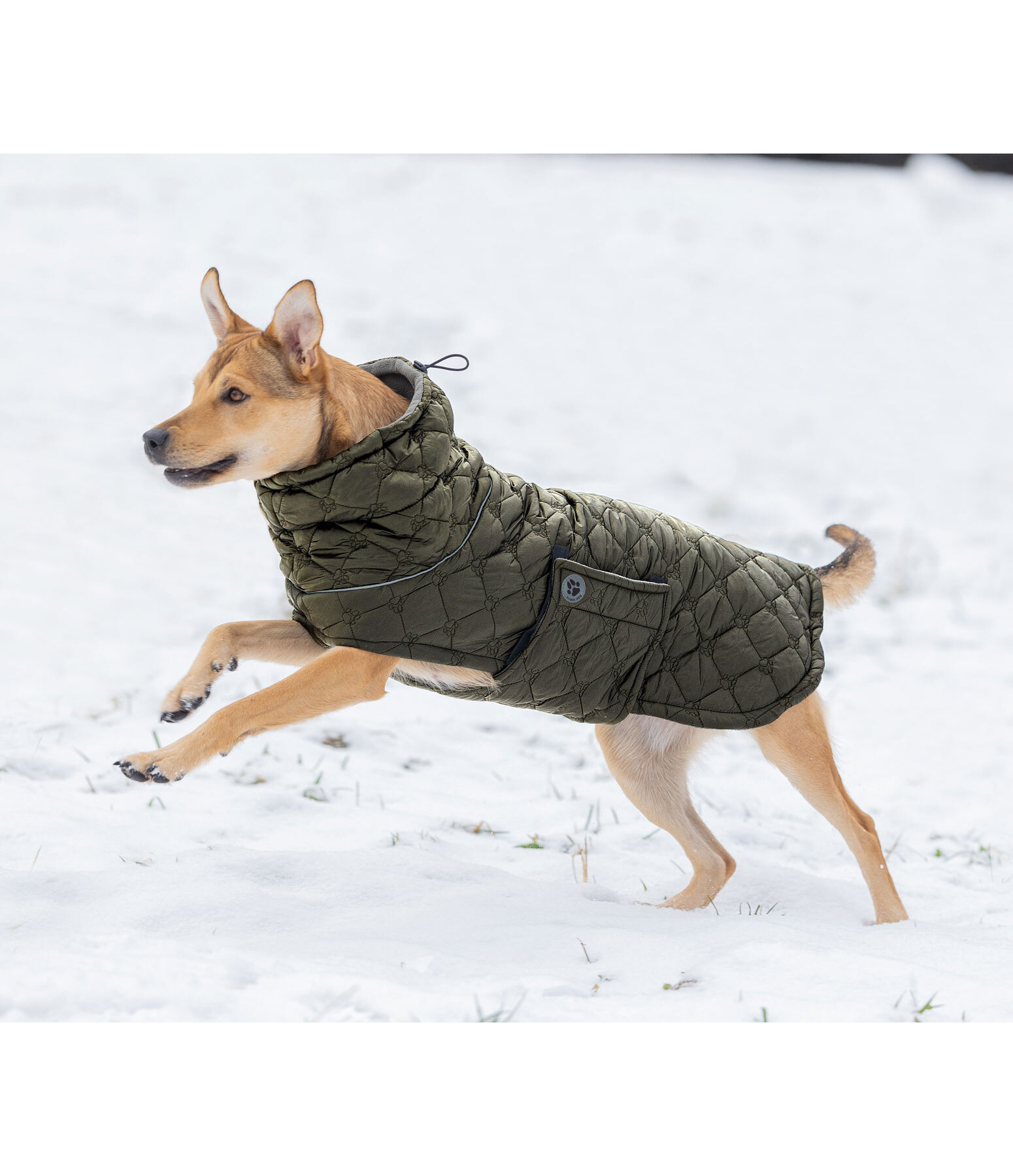 Lightweight Hunde-Steppjacke Cliff mit Fleecelining, 200 g