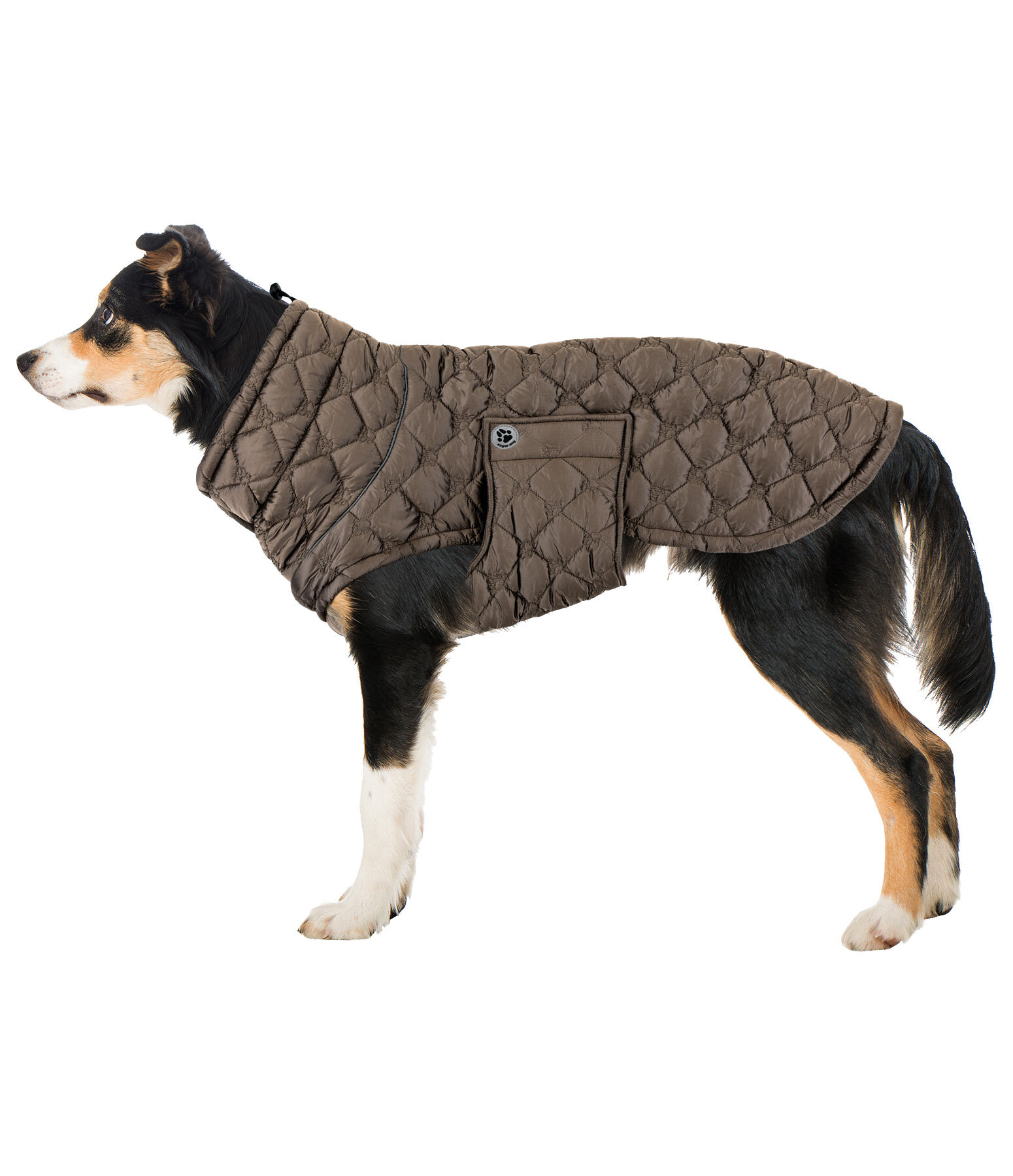 Lightweight Hunde-Steppjacke Cliff mit Fleecelining, 200 g