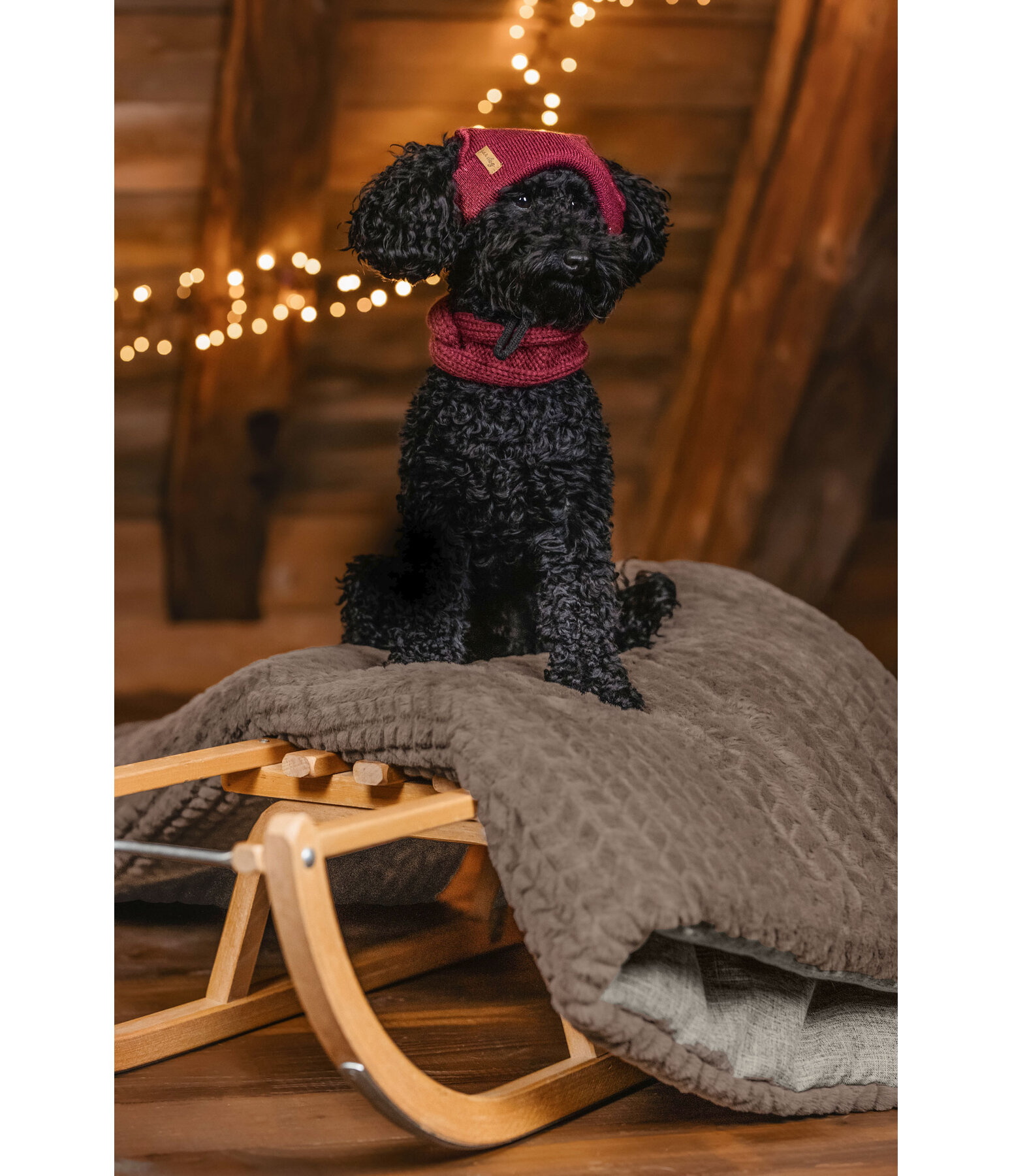 Hunde-Beanie Evin