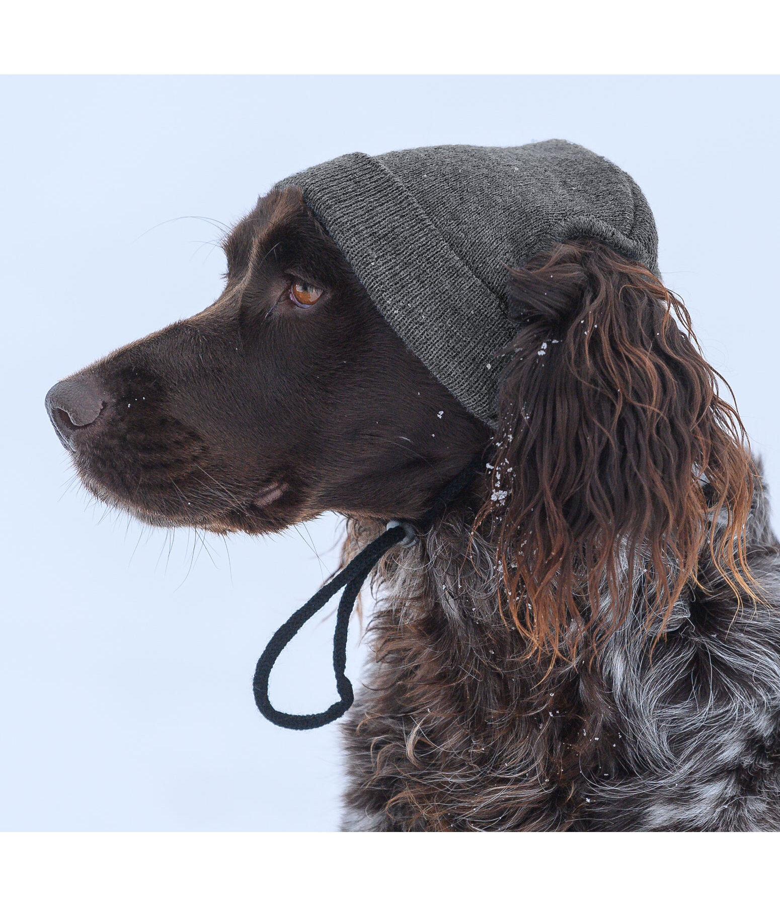 Hunde-Beanie Evin