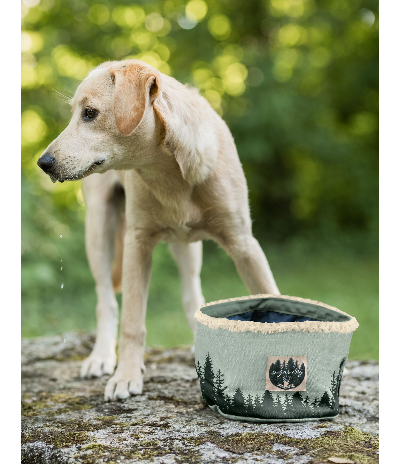 Canvas-Reisenapf fr Hunde Adventure Seeker