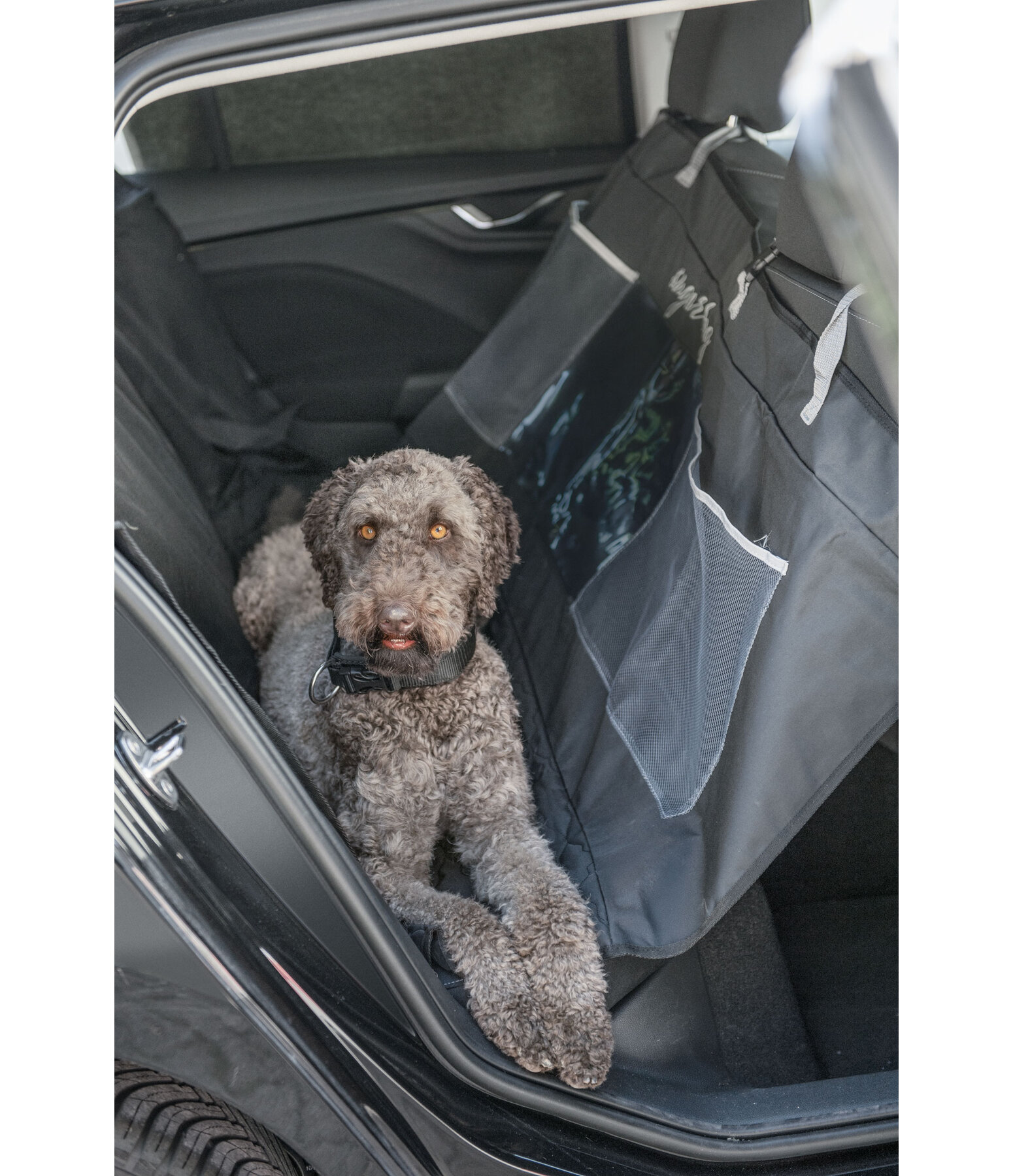 Universal-R�ckbankschoner f�r Hunde Road Trip