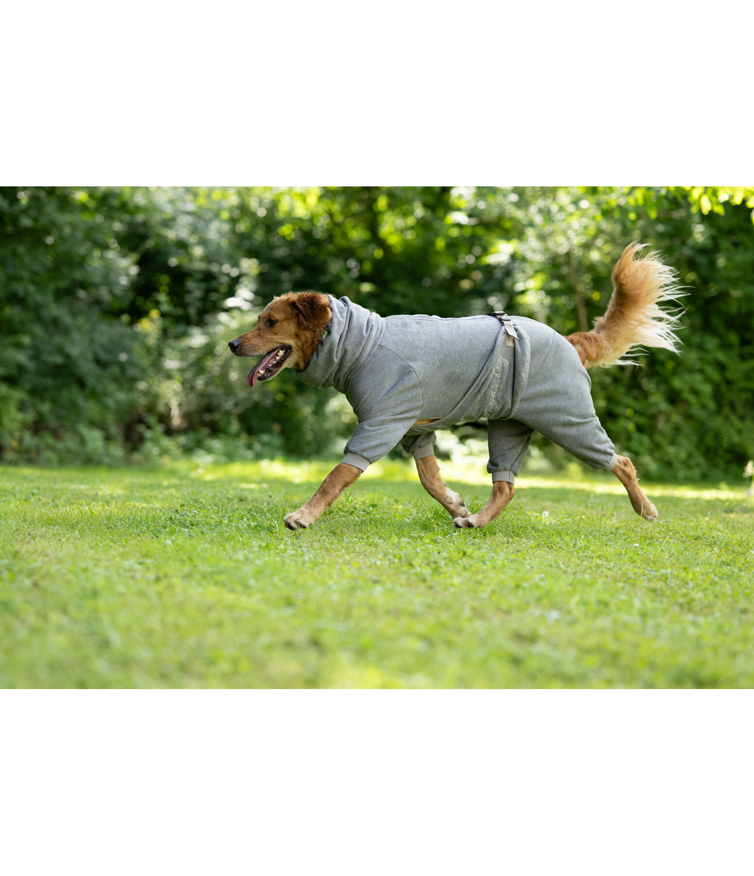 Hunde-Bademantel Allover Dry