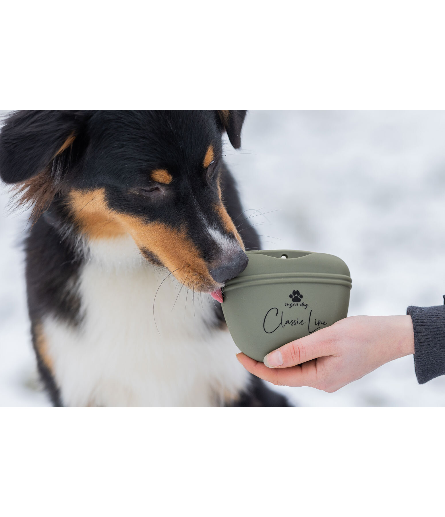 Silikon-Hunde-Leckerlibeutel Classic Line