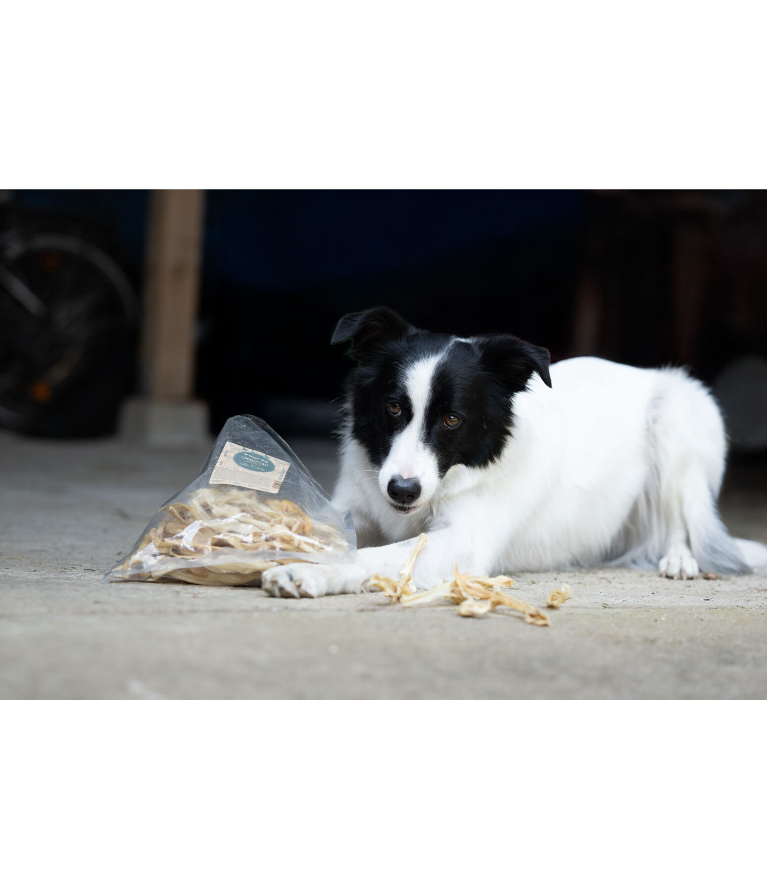 Lammkopfhaut Hundesnack