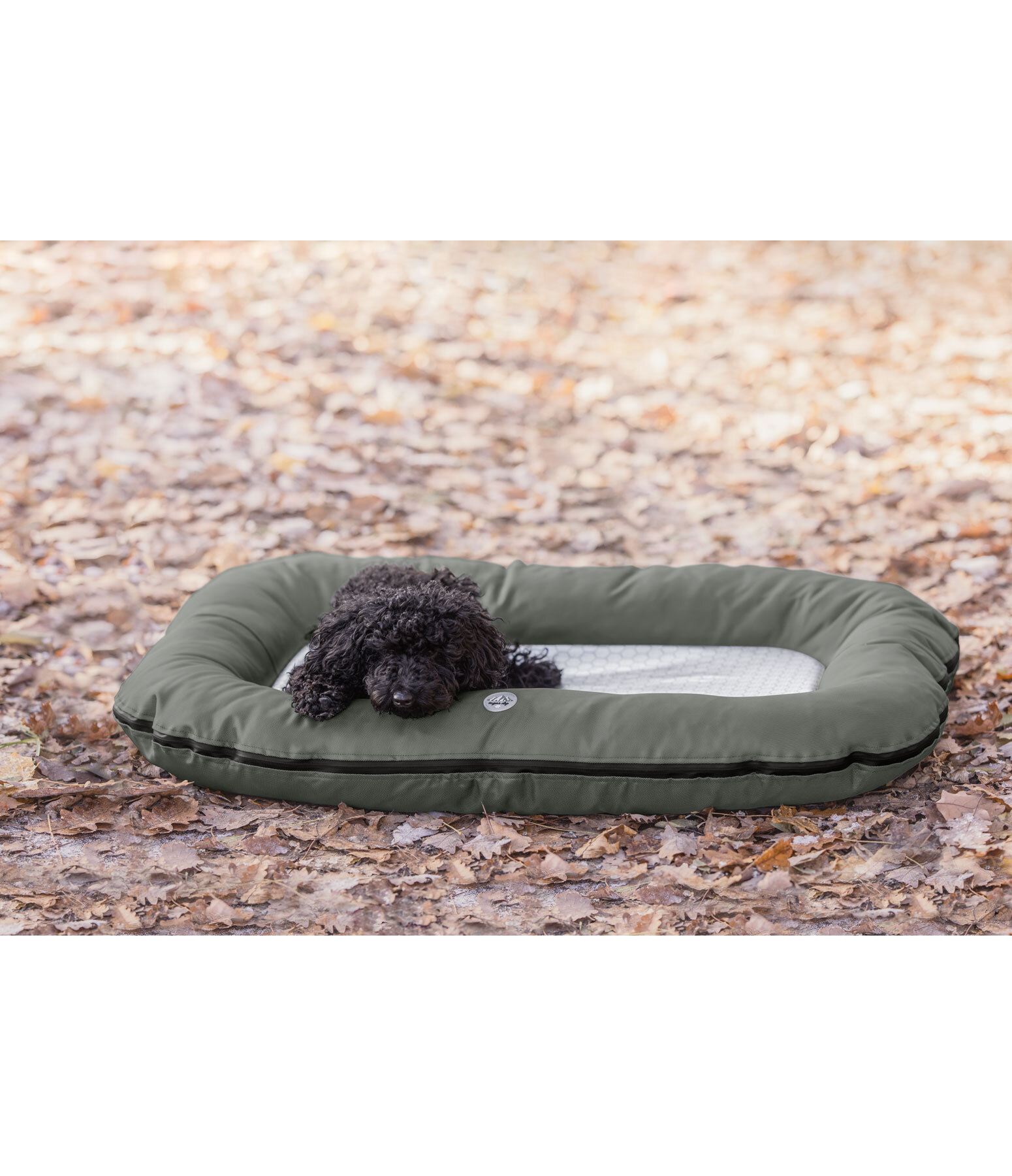 Outdoor-Hundekissen Alverstone