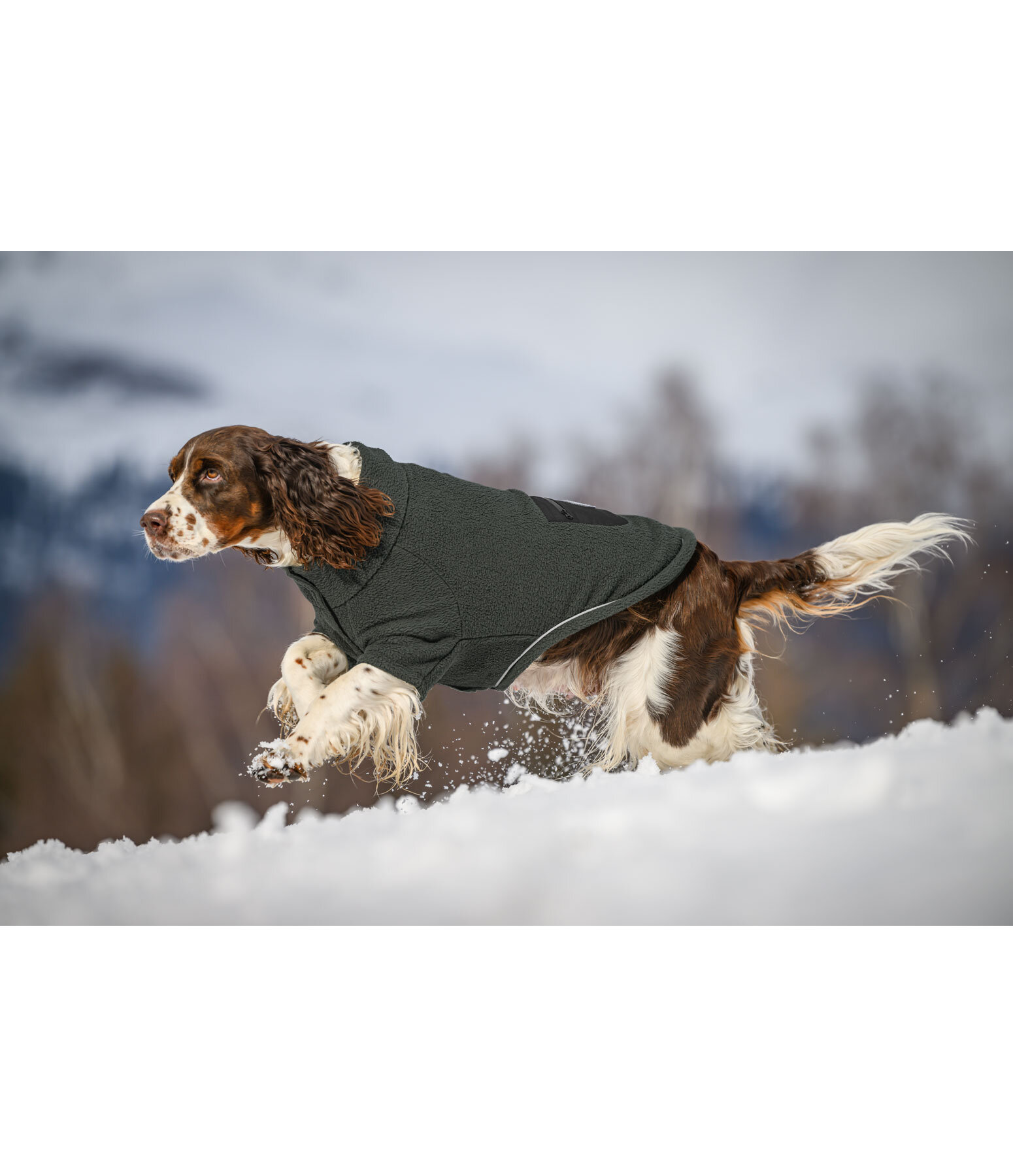 Sherpa-Hunde-Sweater Eden