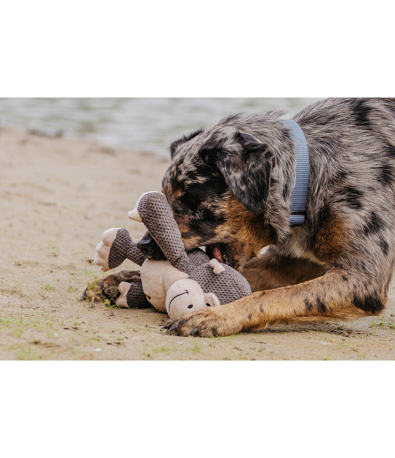 Hundespielzeug Kuschel-Affe Alfie